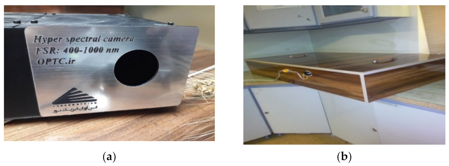 Plants 10 00898 g005 Plants 10 00898 g005