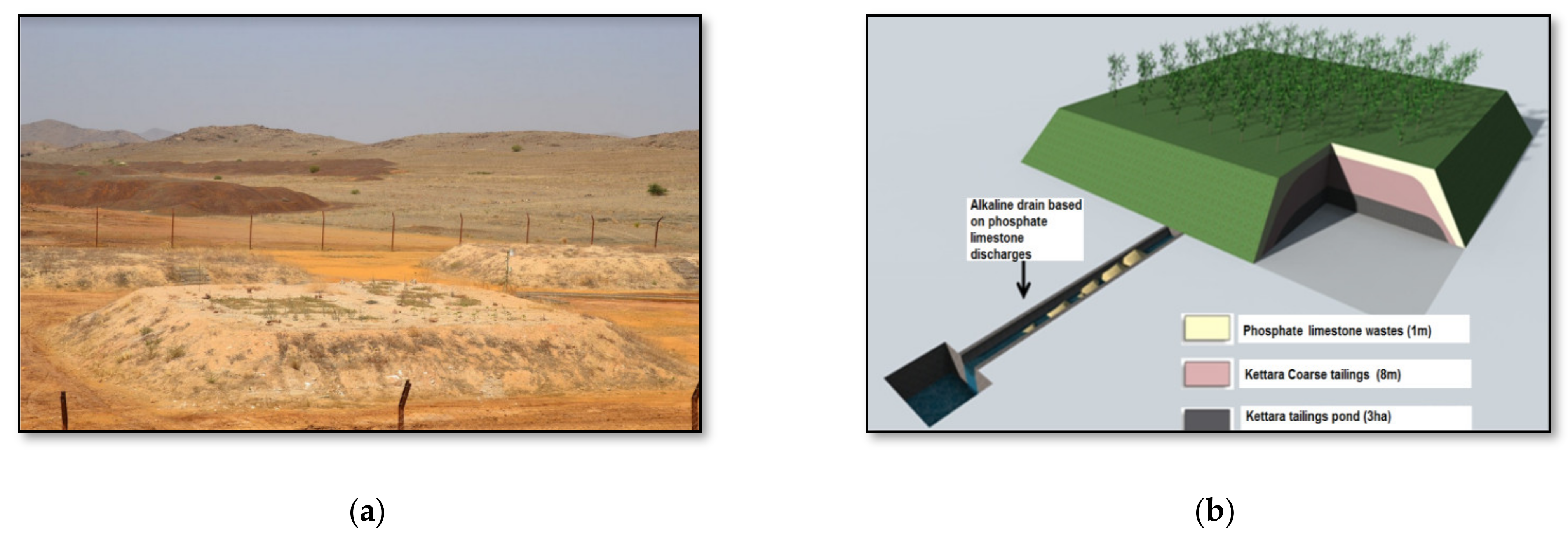 Plants 10 00900 g001 Plants 10 00900 g001