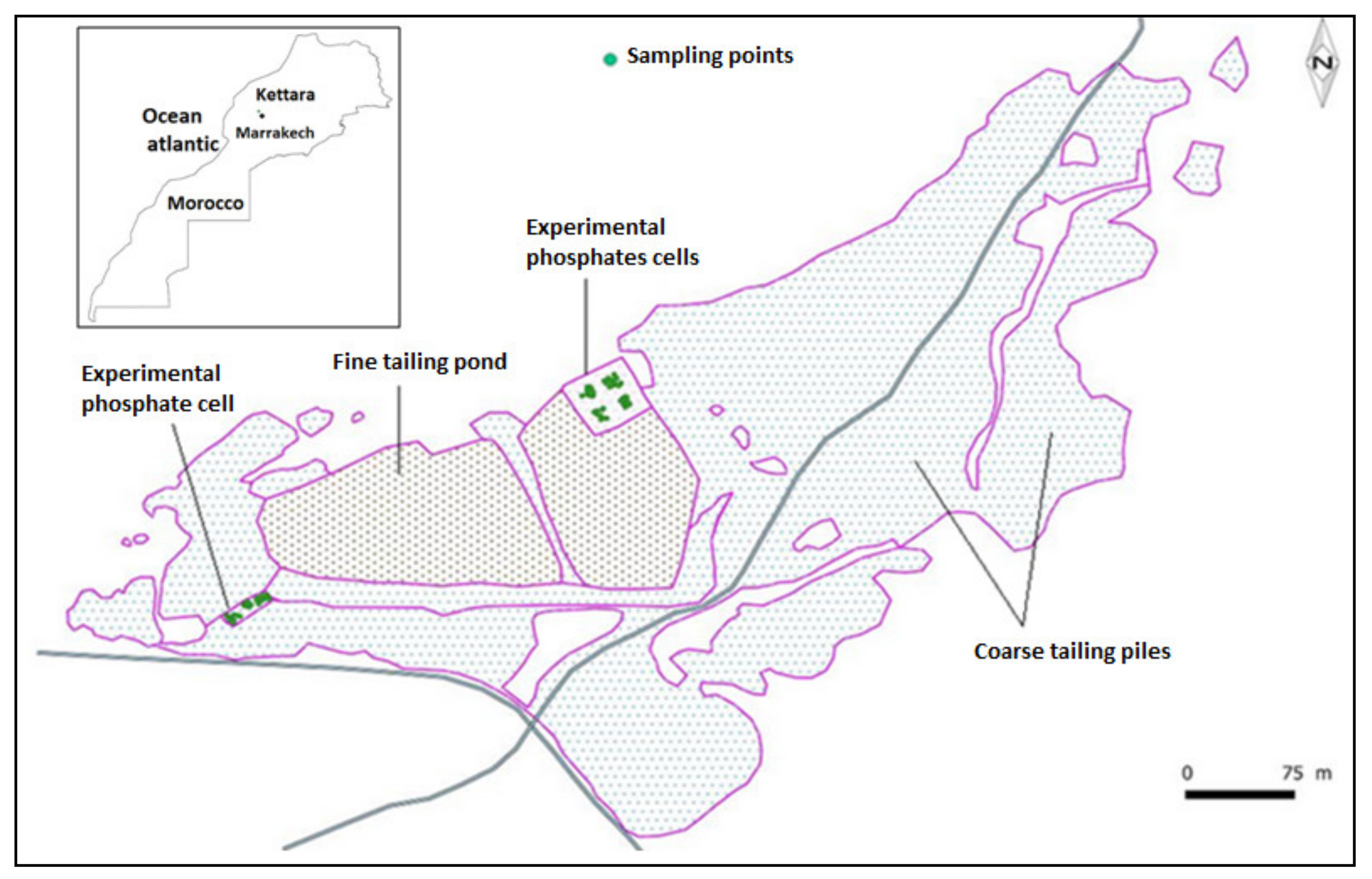 Plants 10 00900 g003 Plants 10 00900 g003