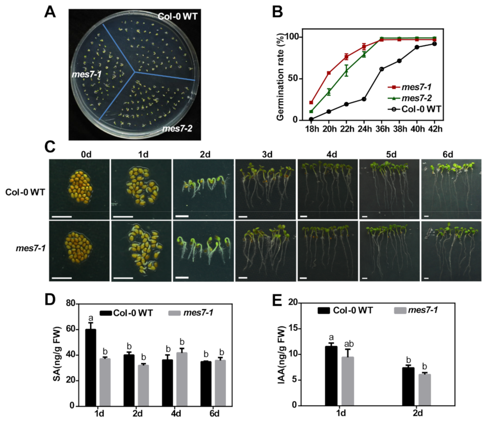 Plants 10 00903 g003