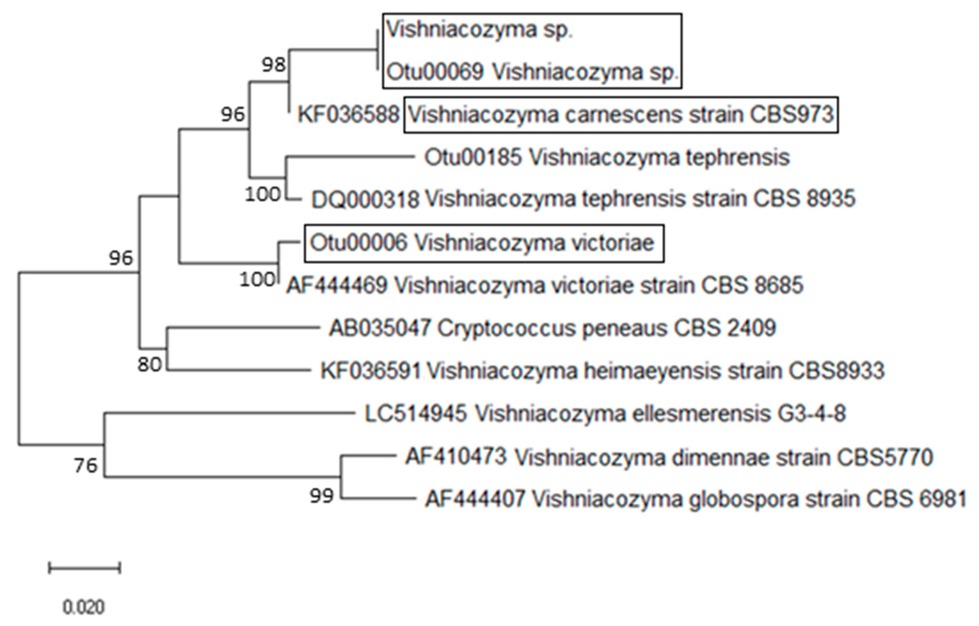 Plants 10 00905 g001 Plants 10 00905 g001
