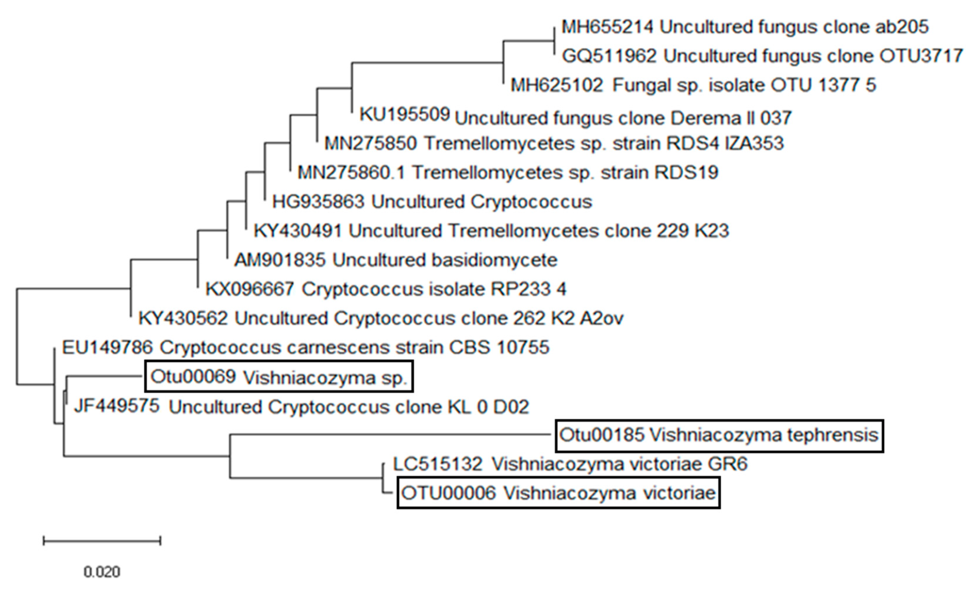 Plants 10 00905 g002 Plants 10 00905 g002
