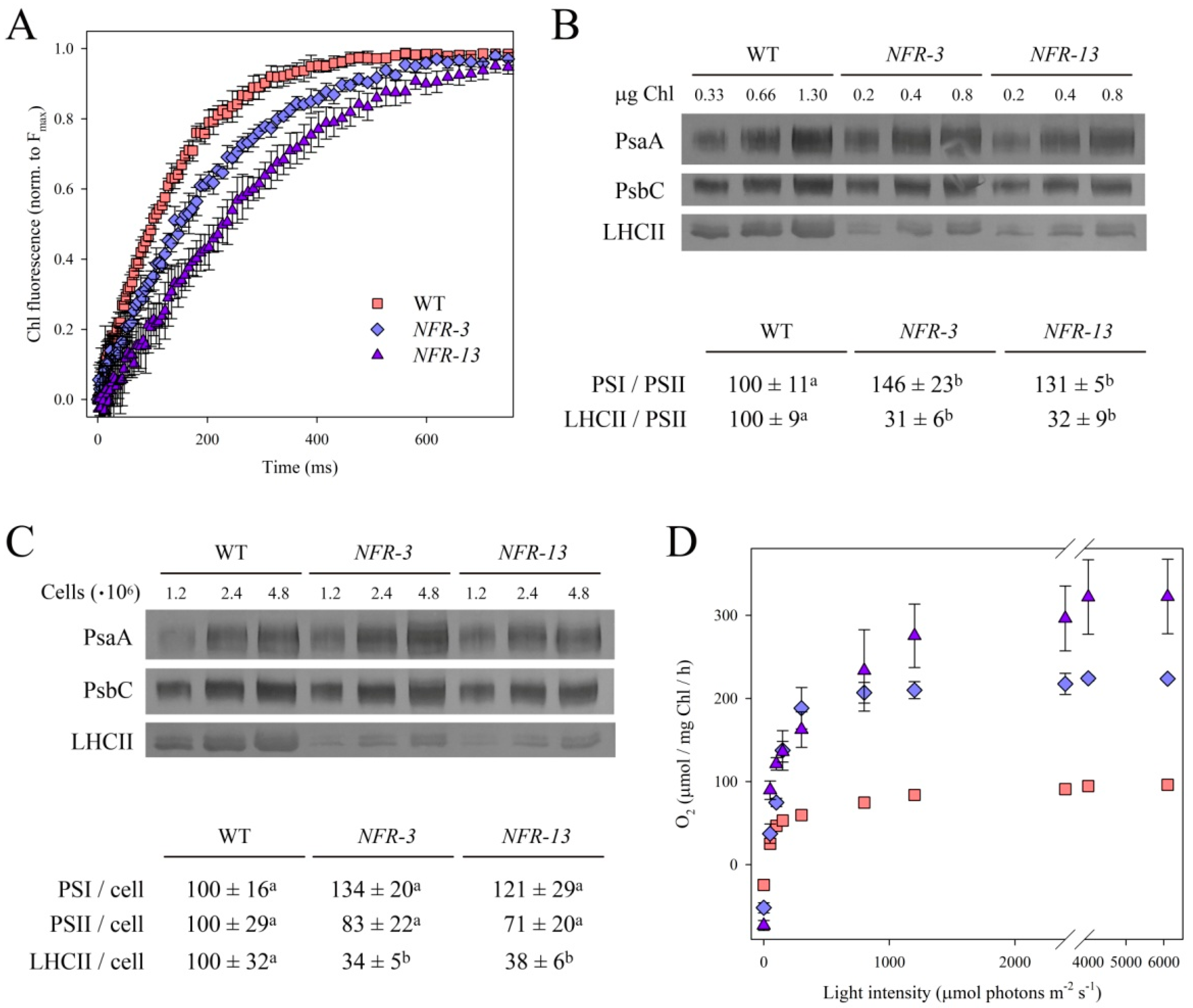 Plants 10 00911 g001 Plants 10 00911 g001