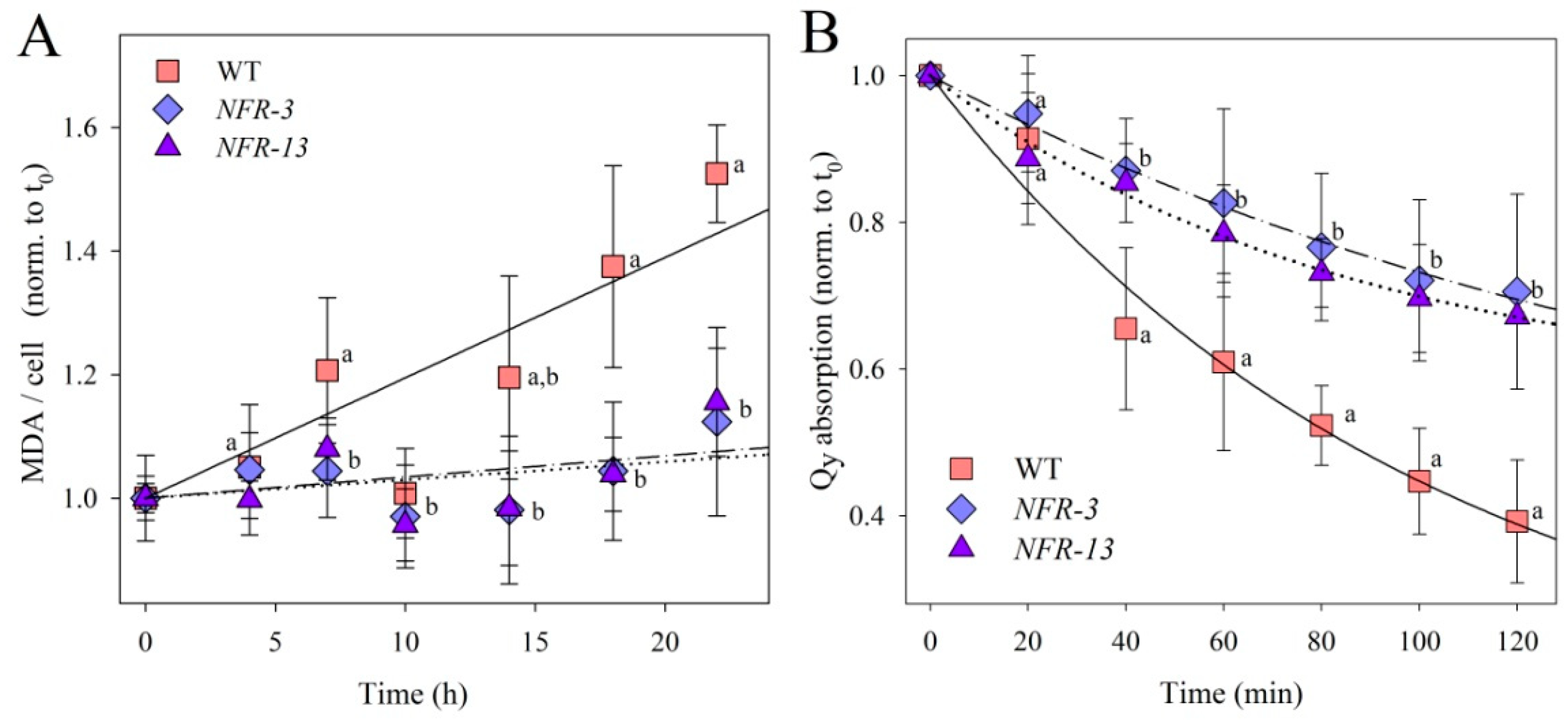 Plants 10 00911 g002 Plants 10 00911 g002