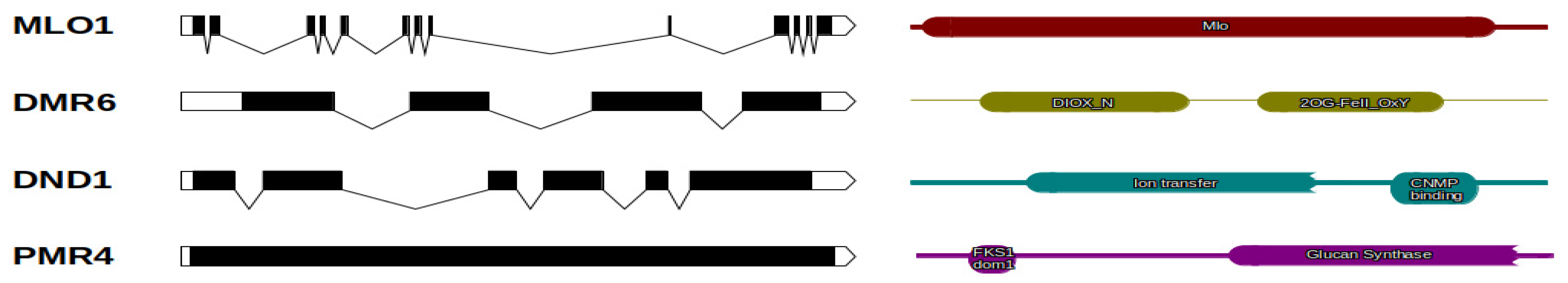 Plants 10 00913 g001 Plants 10 00913 g001