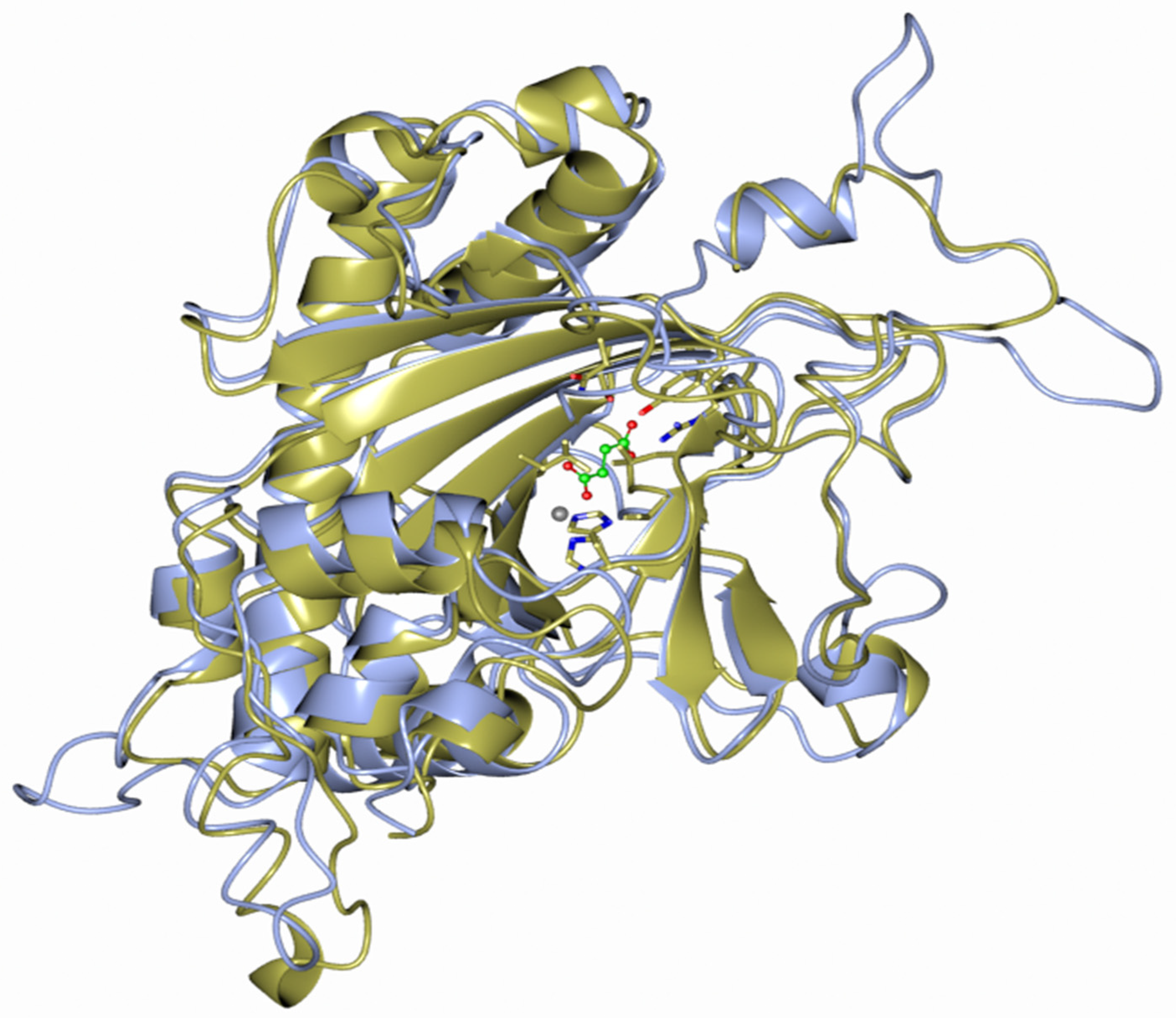 Plants 10 00913 g003 Plants 10 00913 g003