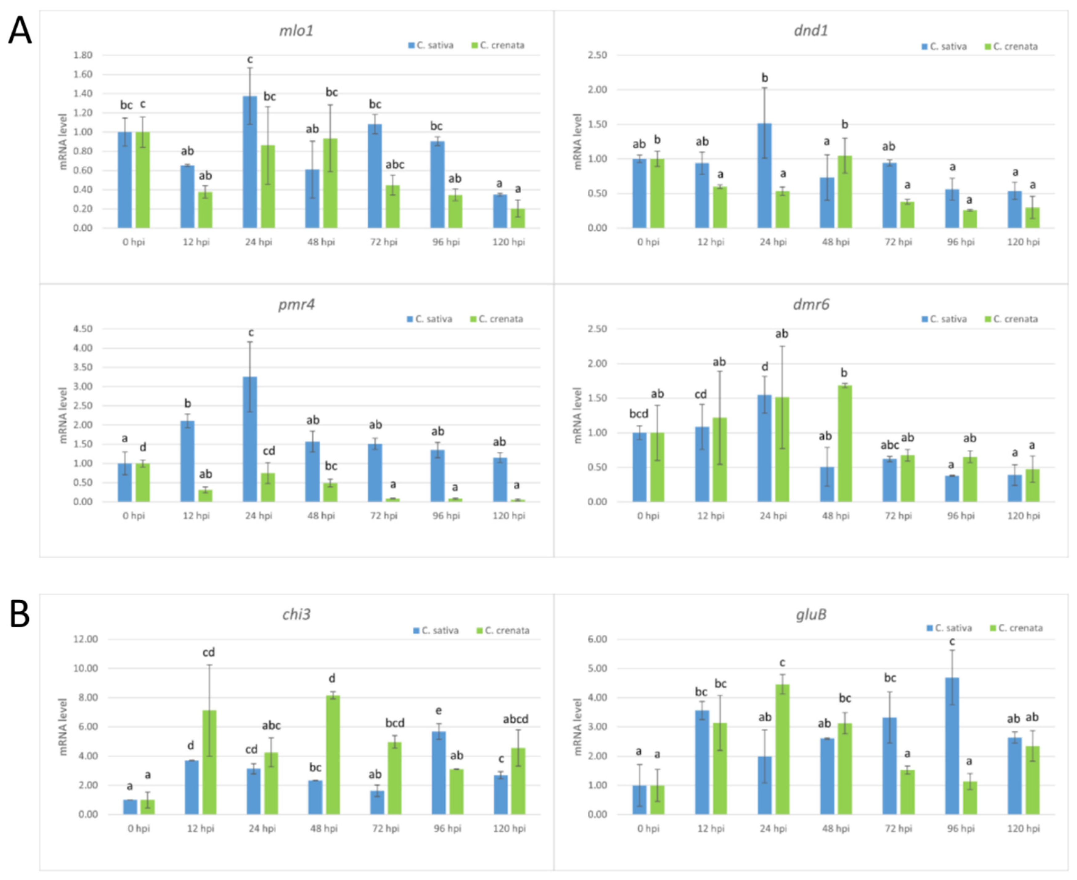 Plants 10 00913 g007 Plants 10 00913 g007