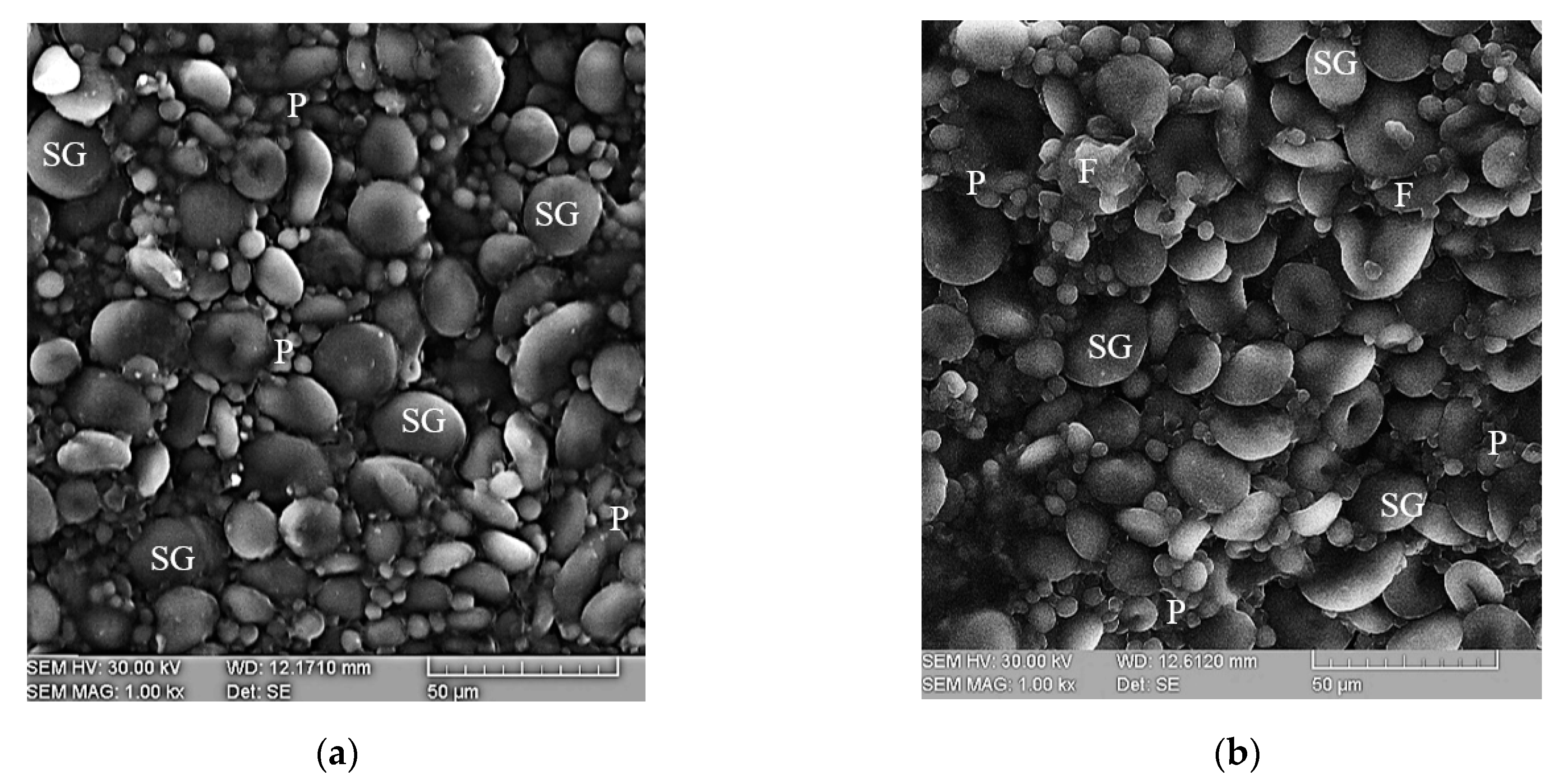 Plants 10 00926 g002