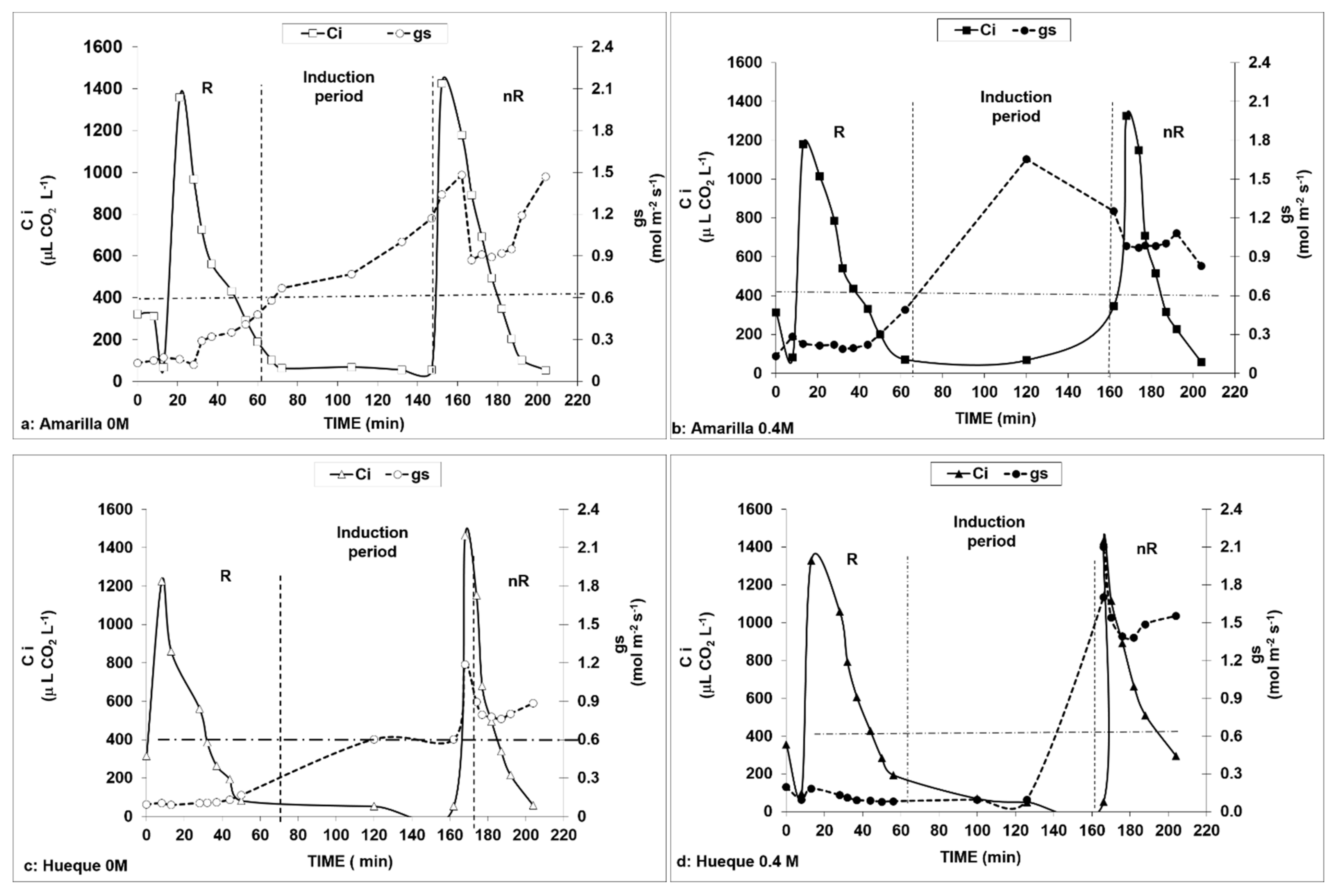 Plants 10 00927 g004