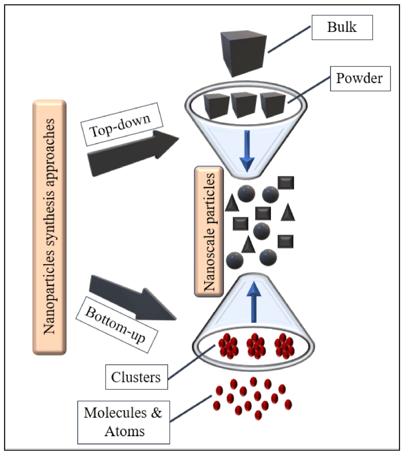 Plants 10 00929 g001 Plants 10 00929 g001