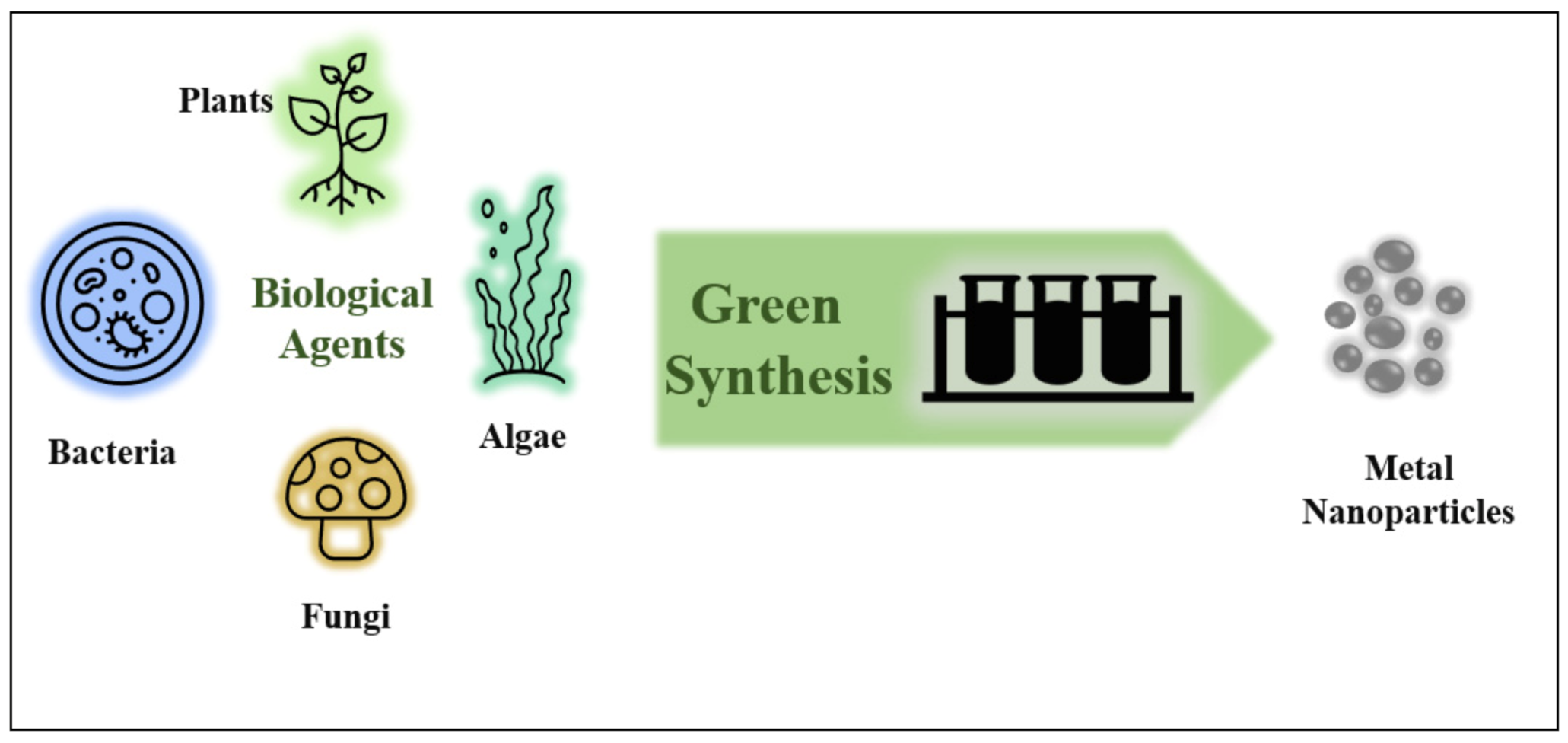 Plants 10 00929 g002 Plants 10 00929 g002