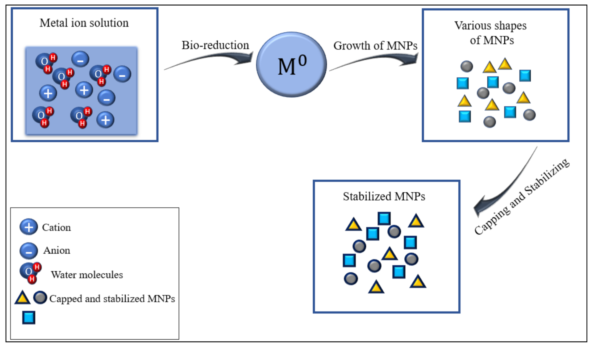Plants 10 00929 g003 Plants 10 00929 g003