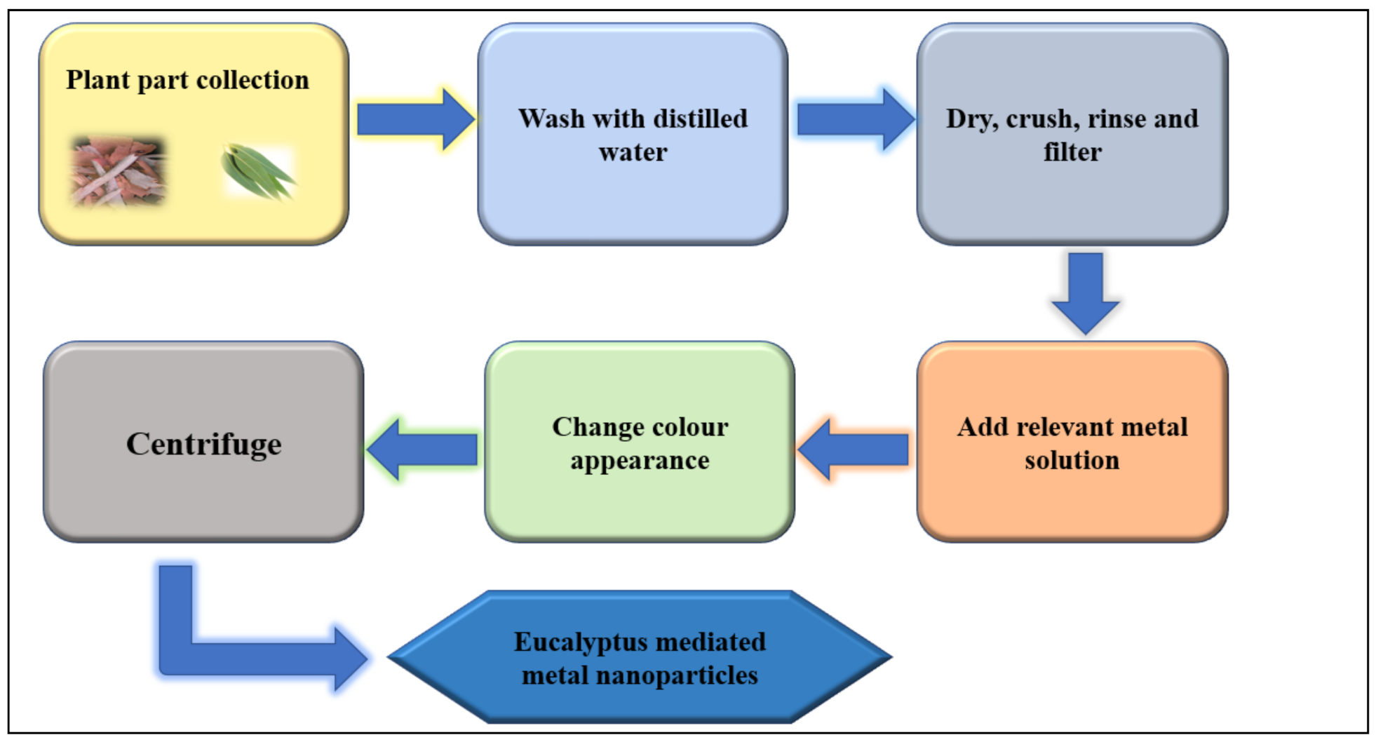 Plants 10 00929 g005 Plants 10 00929 g005