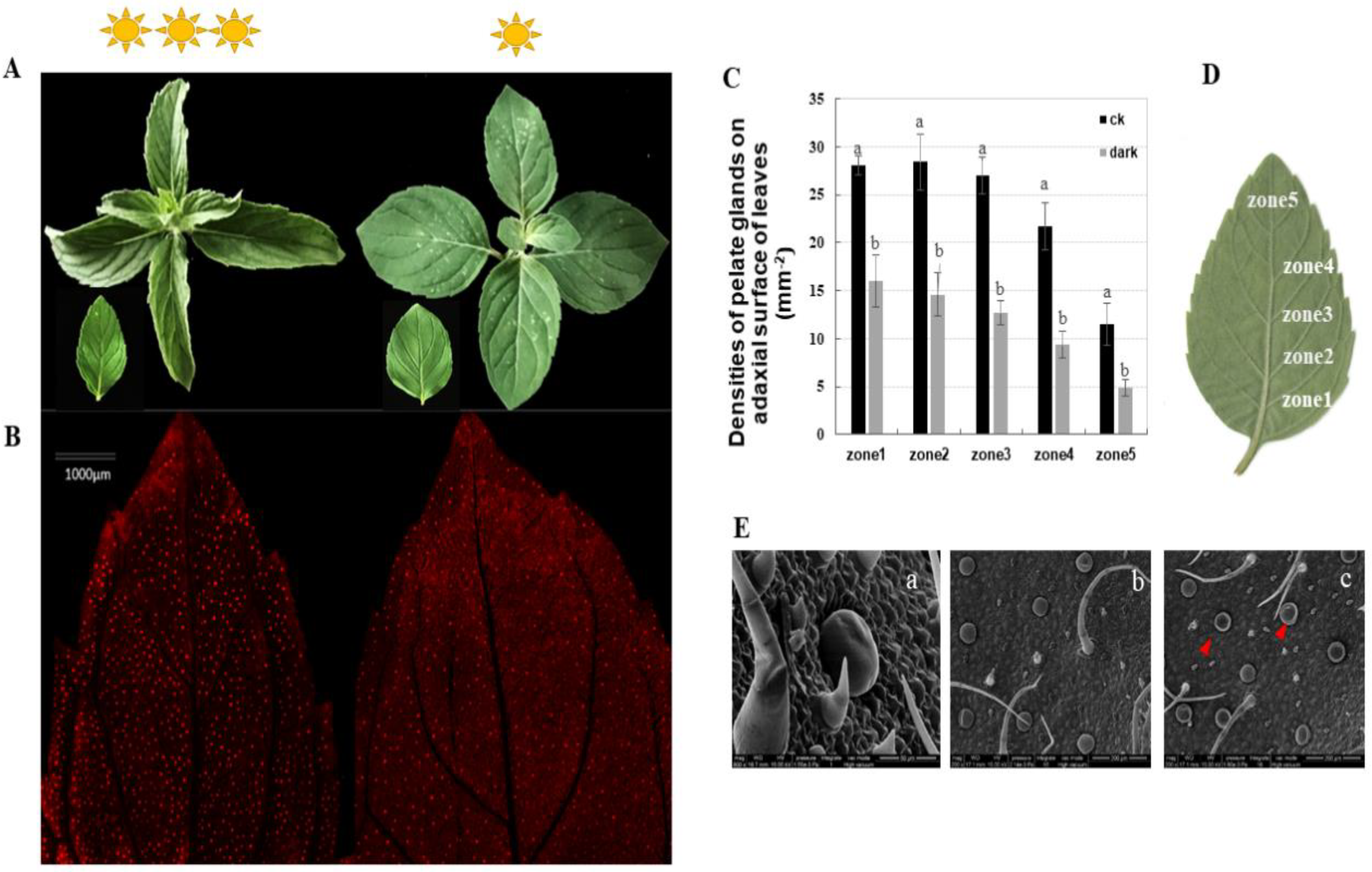 Plants 10 00930 g001
