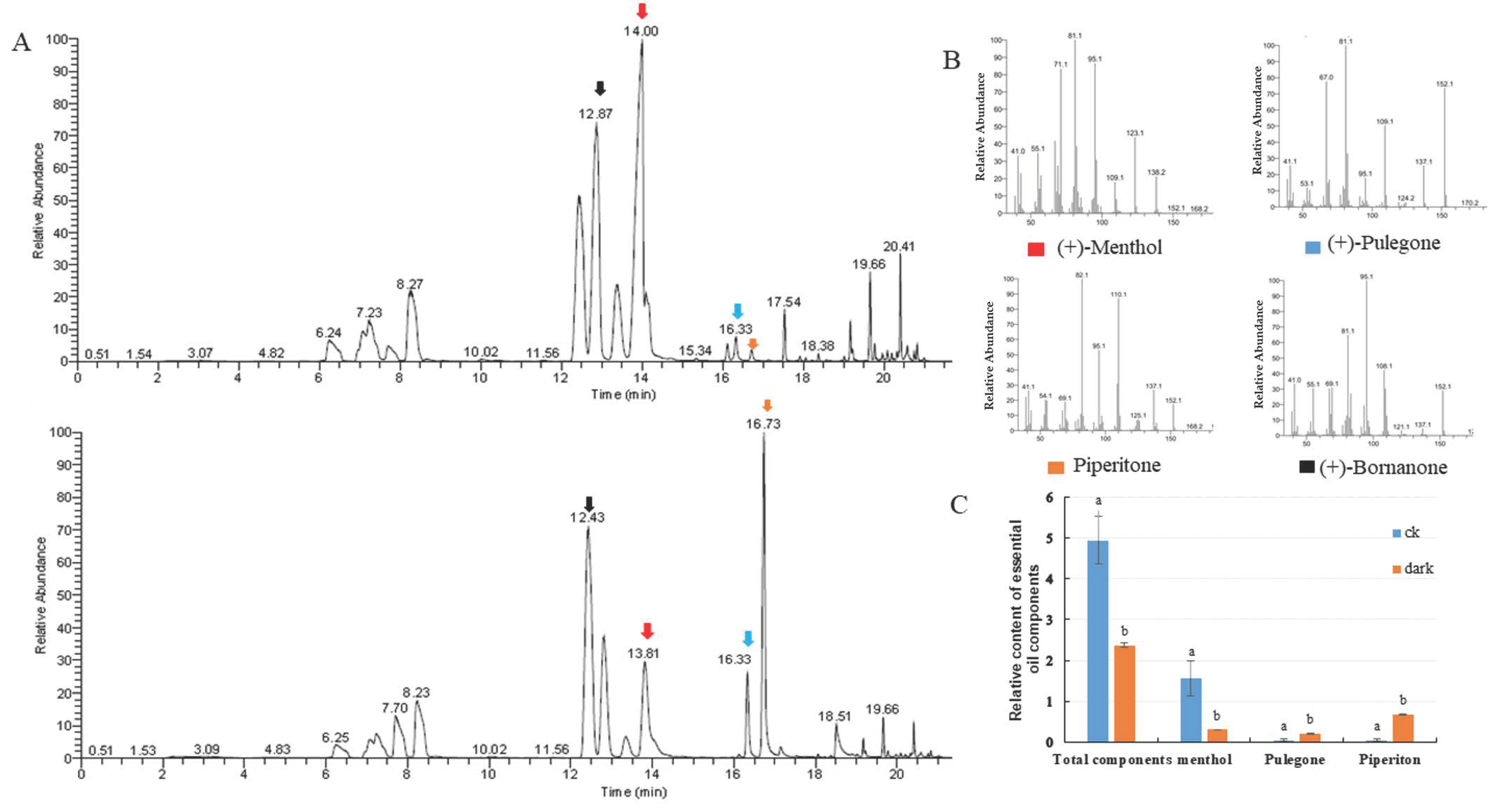Plants 10 00930 g002