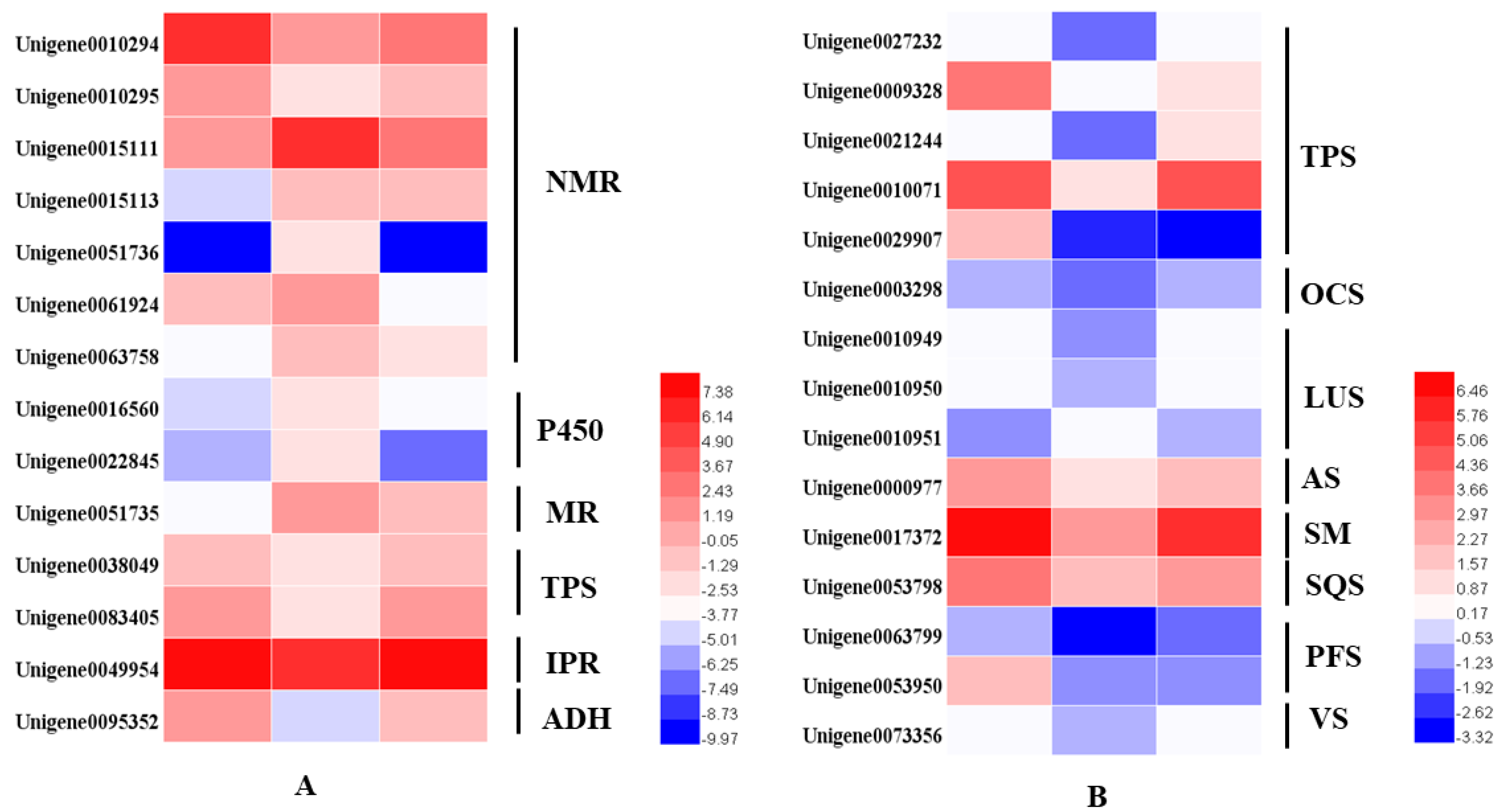Plants 10 00930 g006
