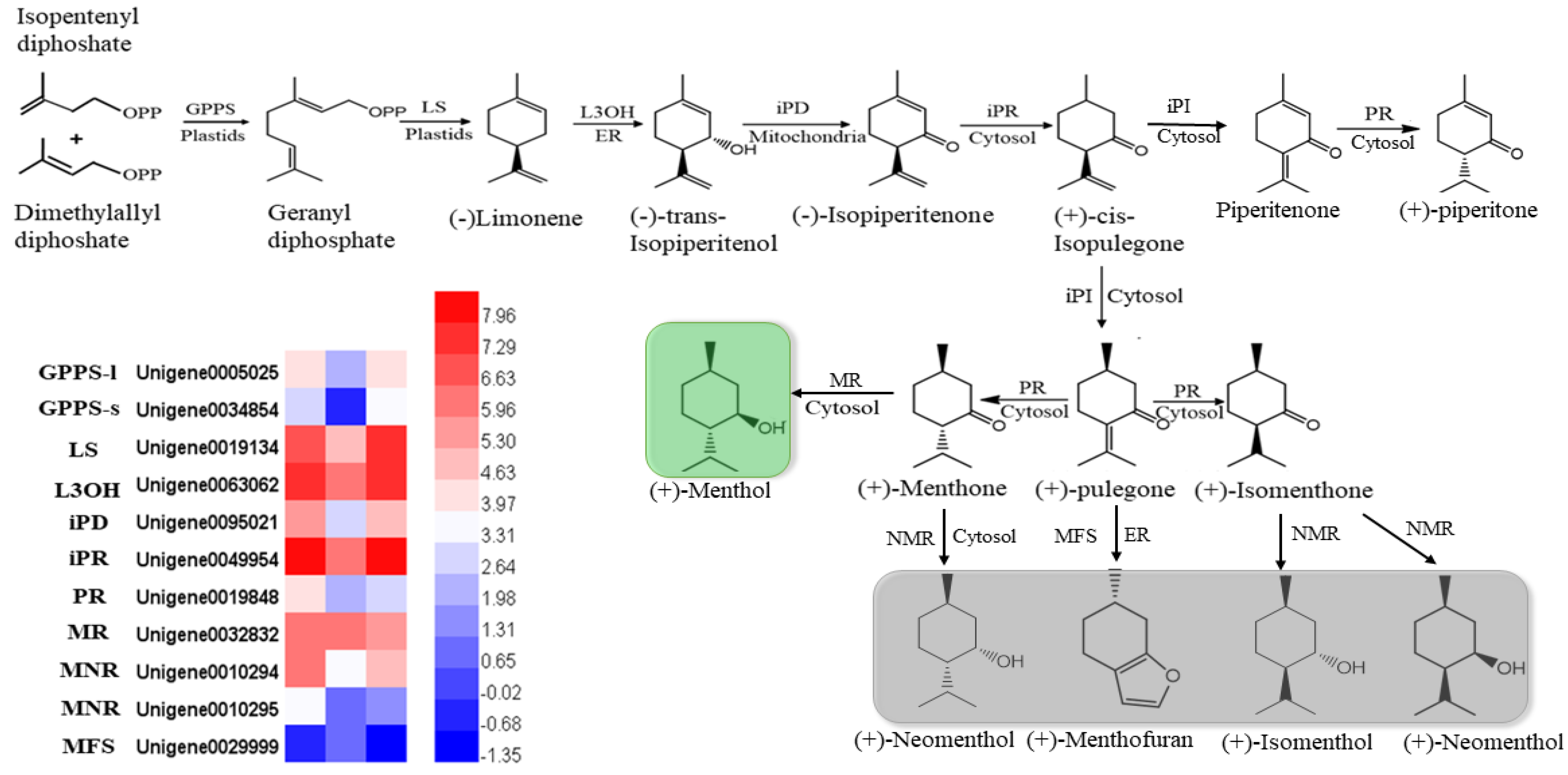 Plants 10 00930 g007