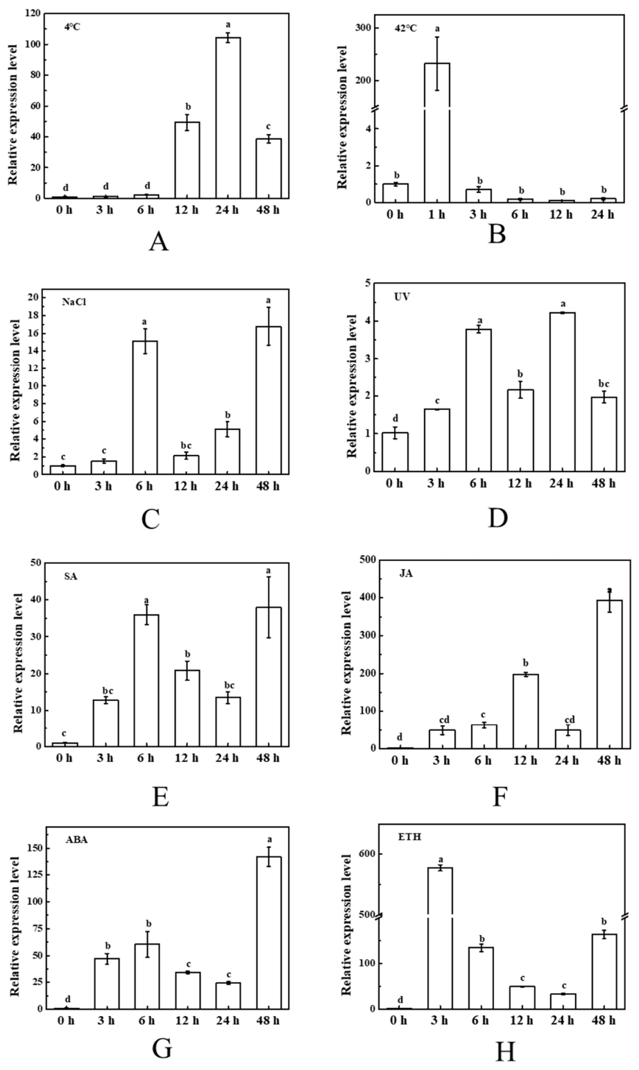 Plants 10 00947 g004 Plants 10 00947 g004