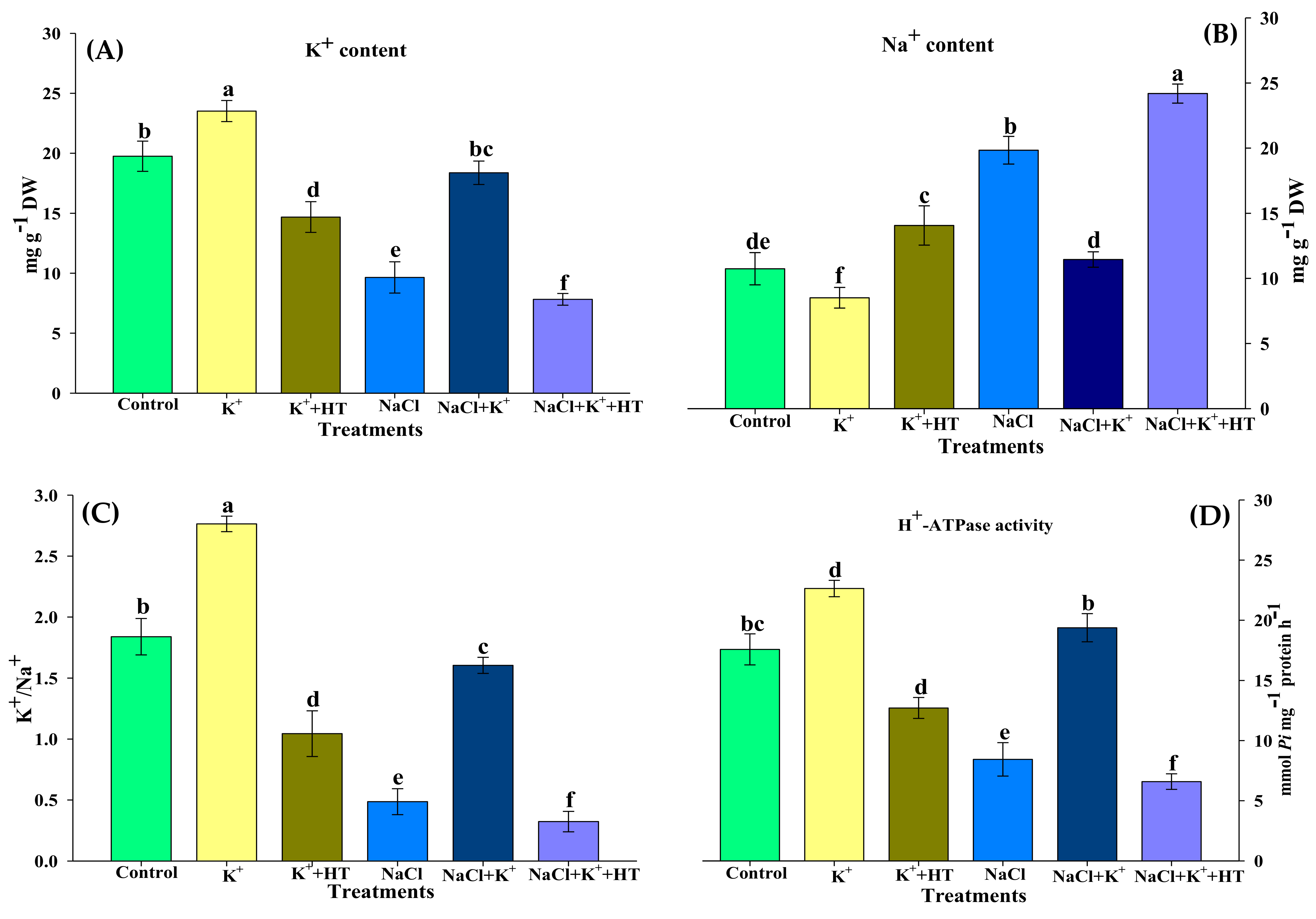 Plants 10 00948 g002