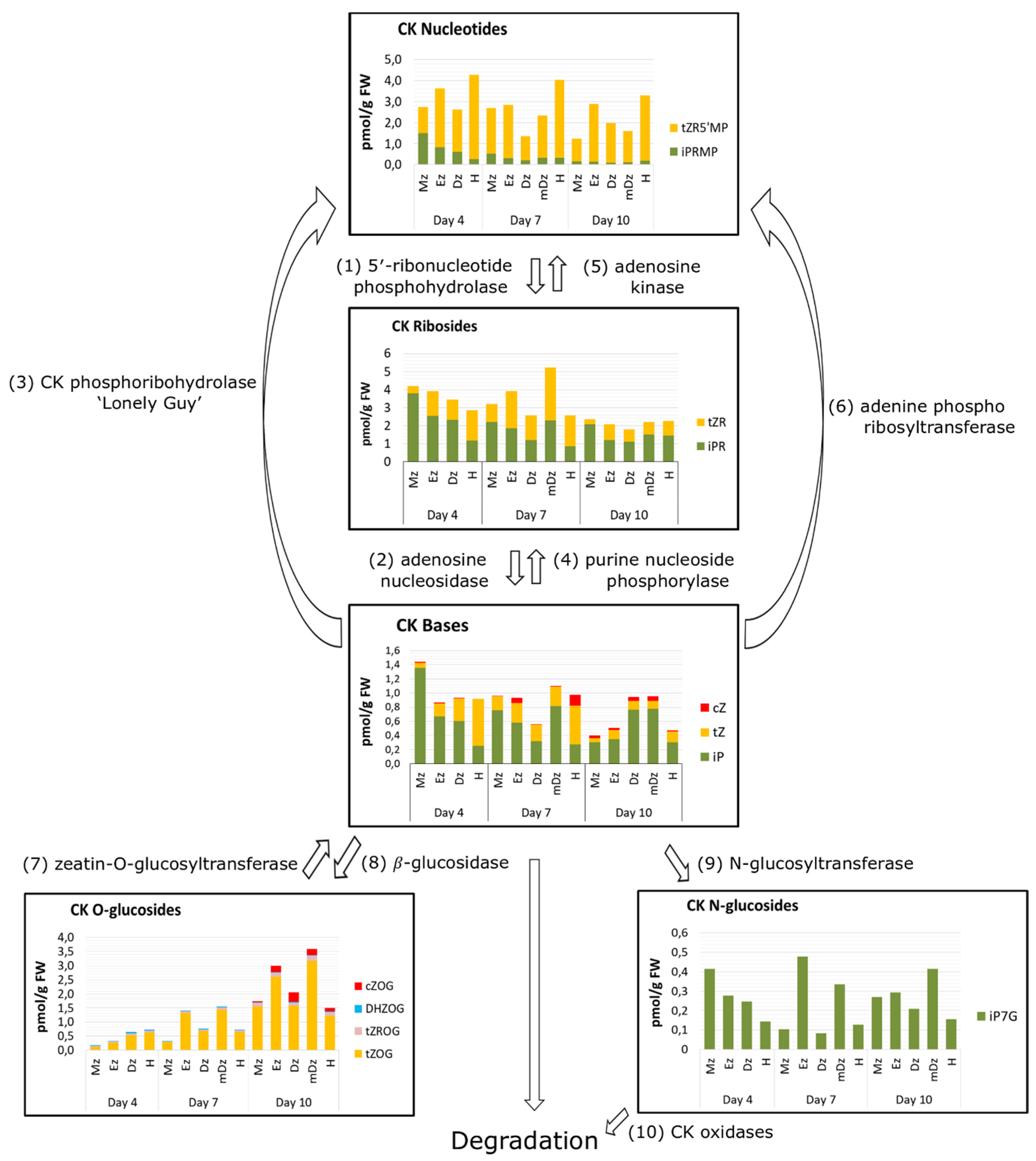 Plants 10 00967 g007