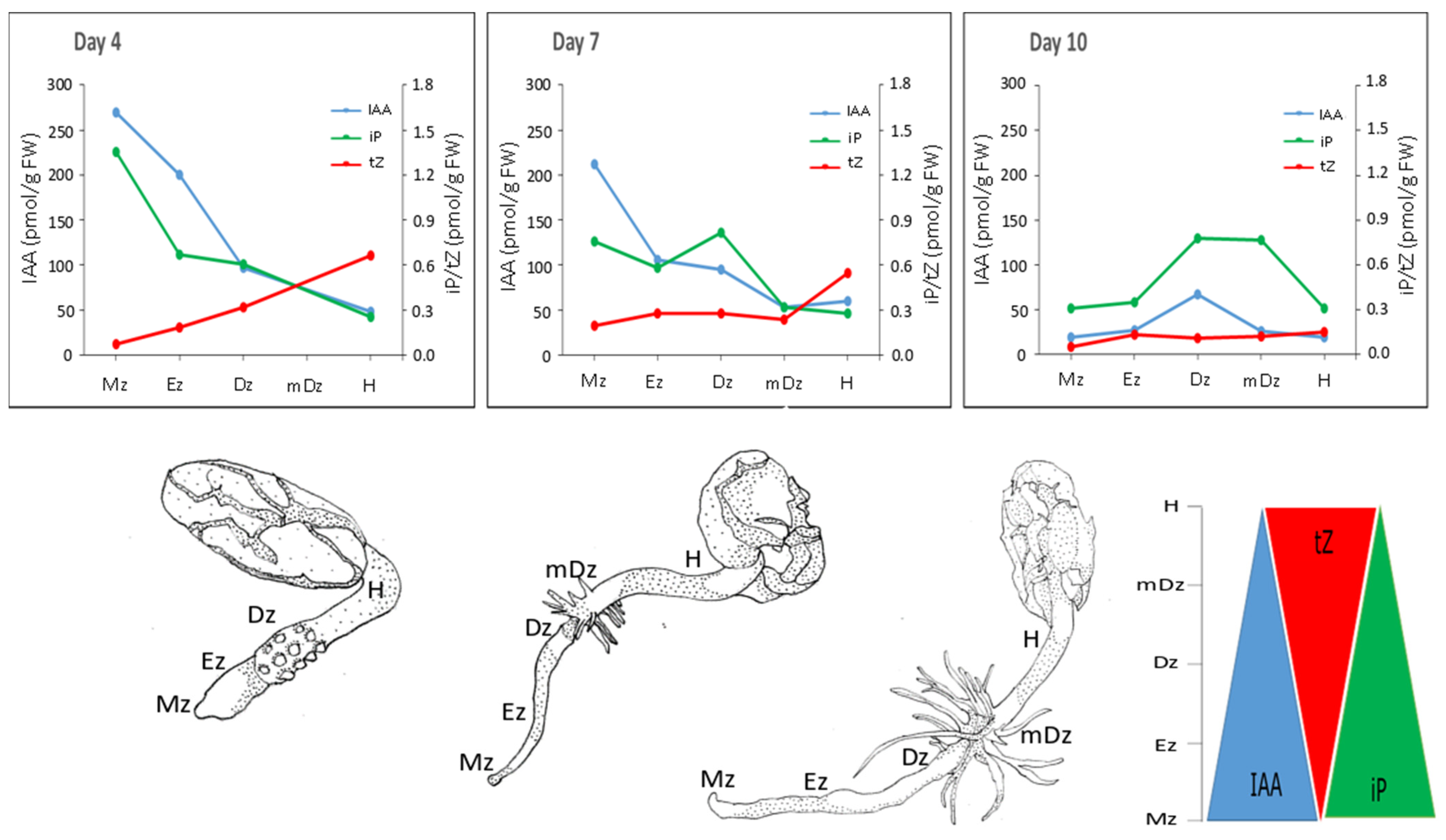 Plants 10 00967 g008