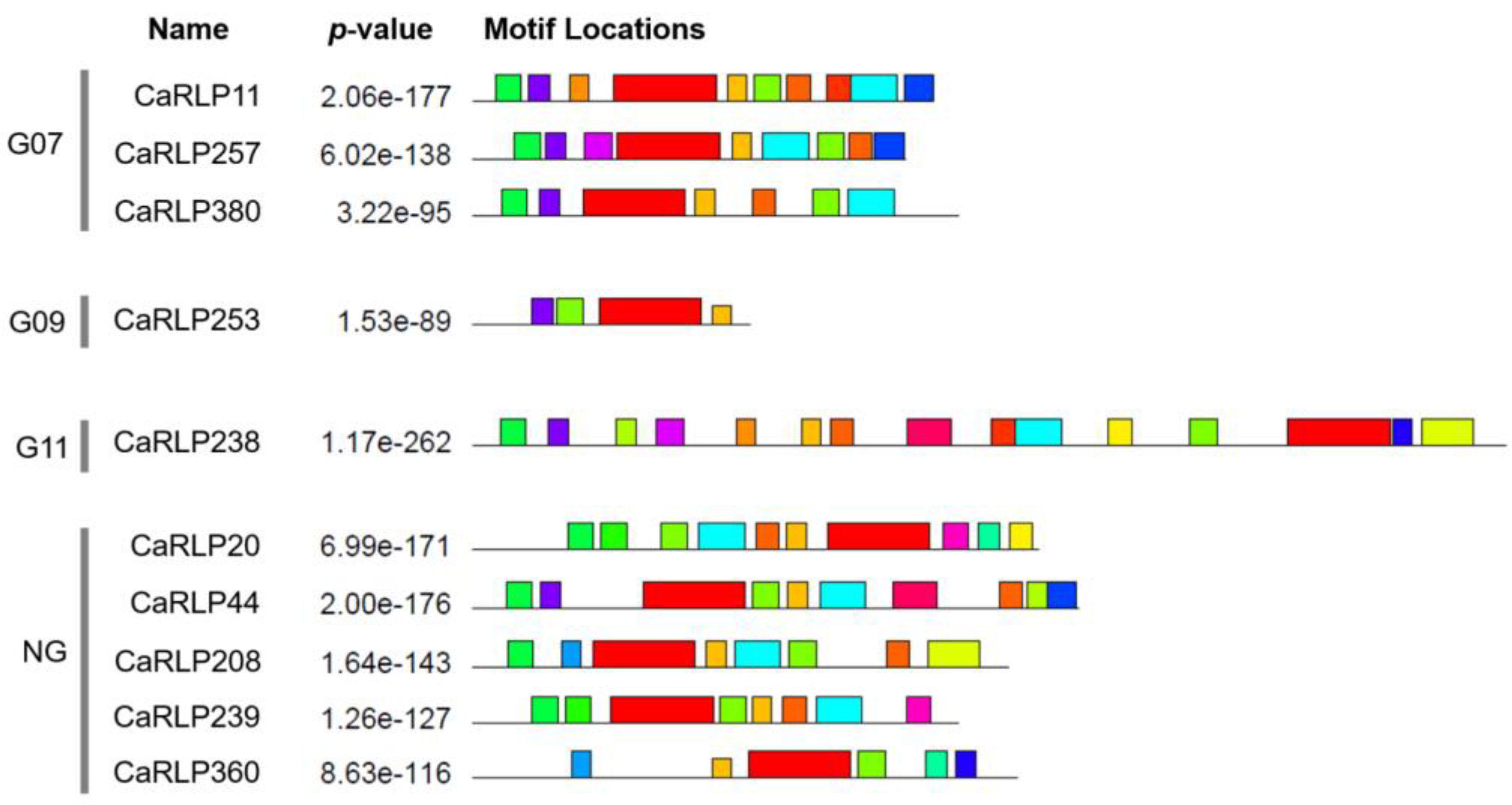 Plants 10 00972 g002