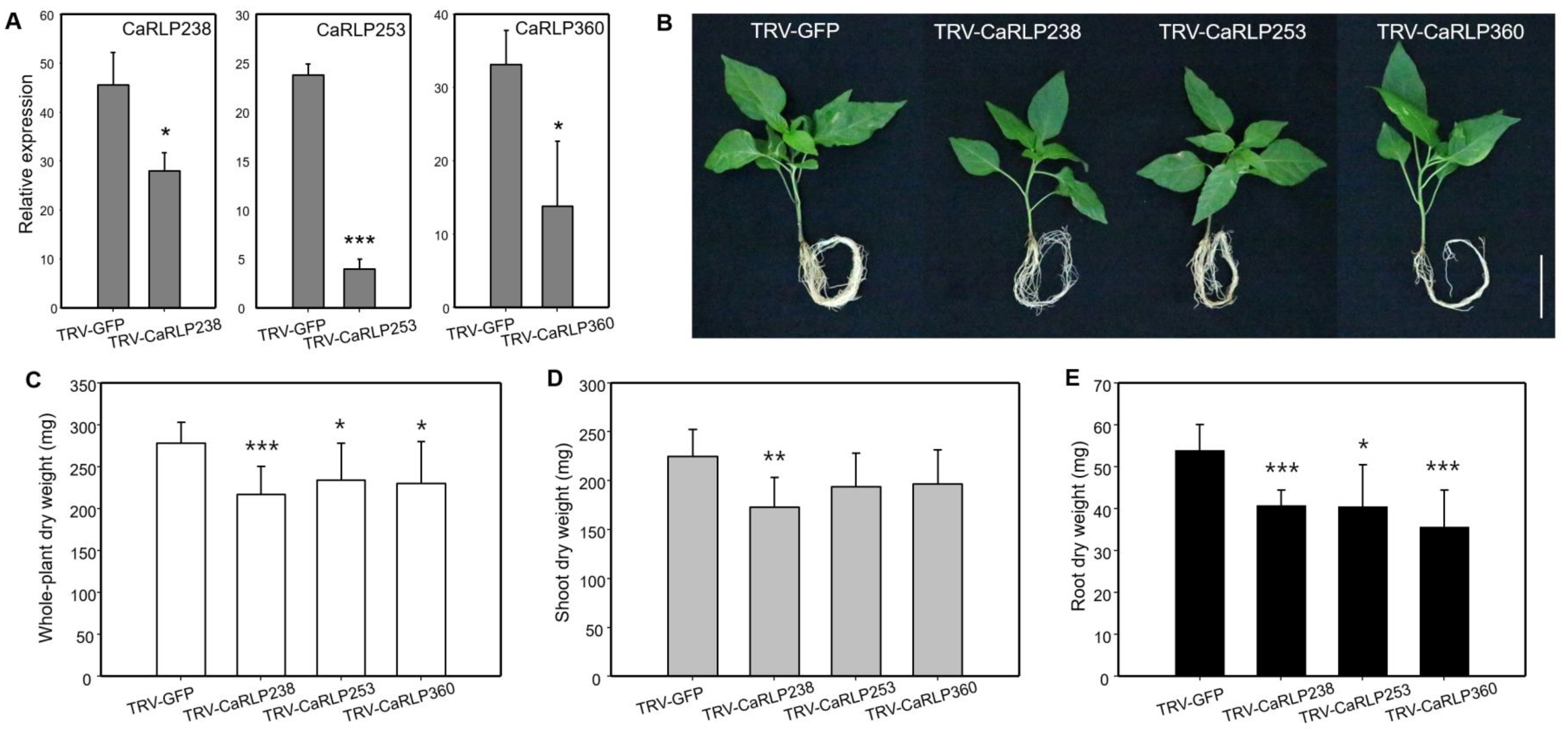 Plants 10 00972 g005