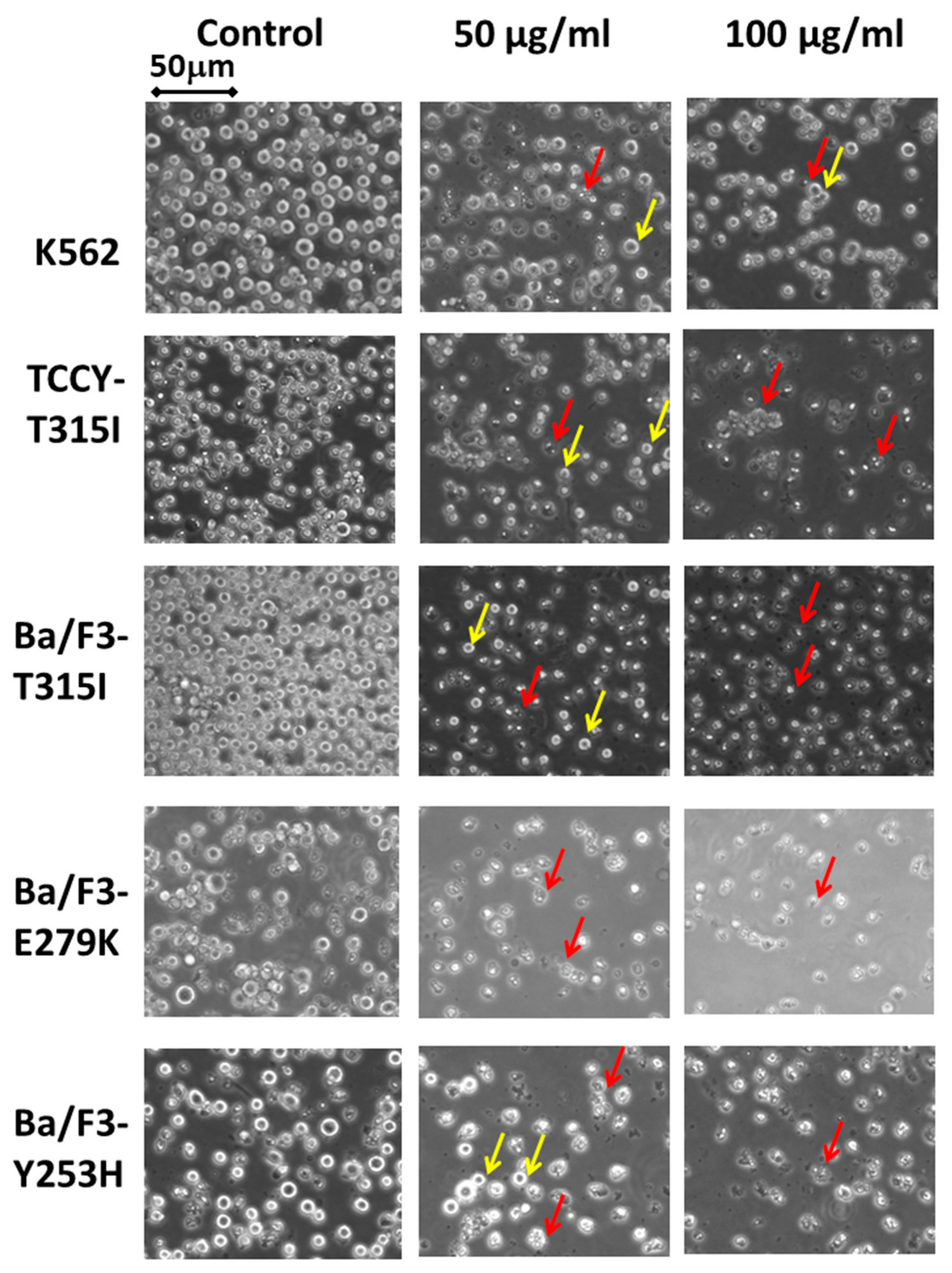 Plants 10 00980 g004