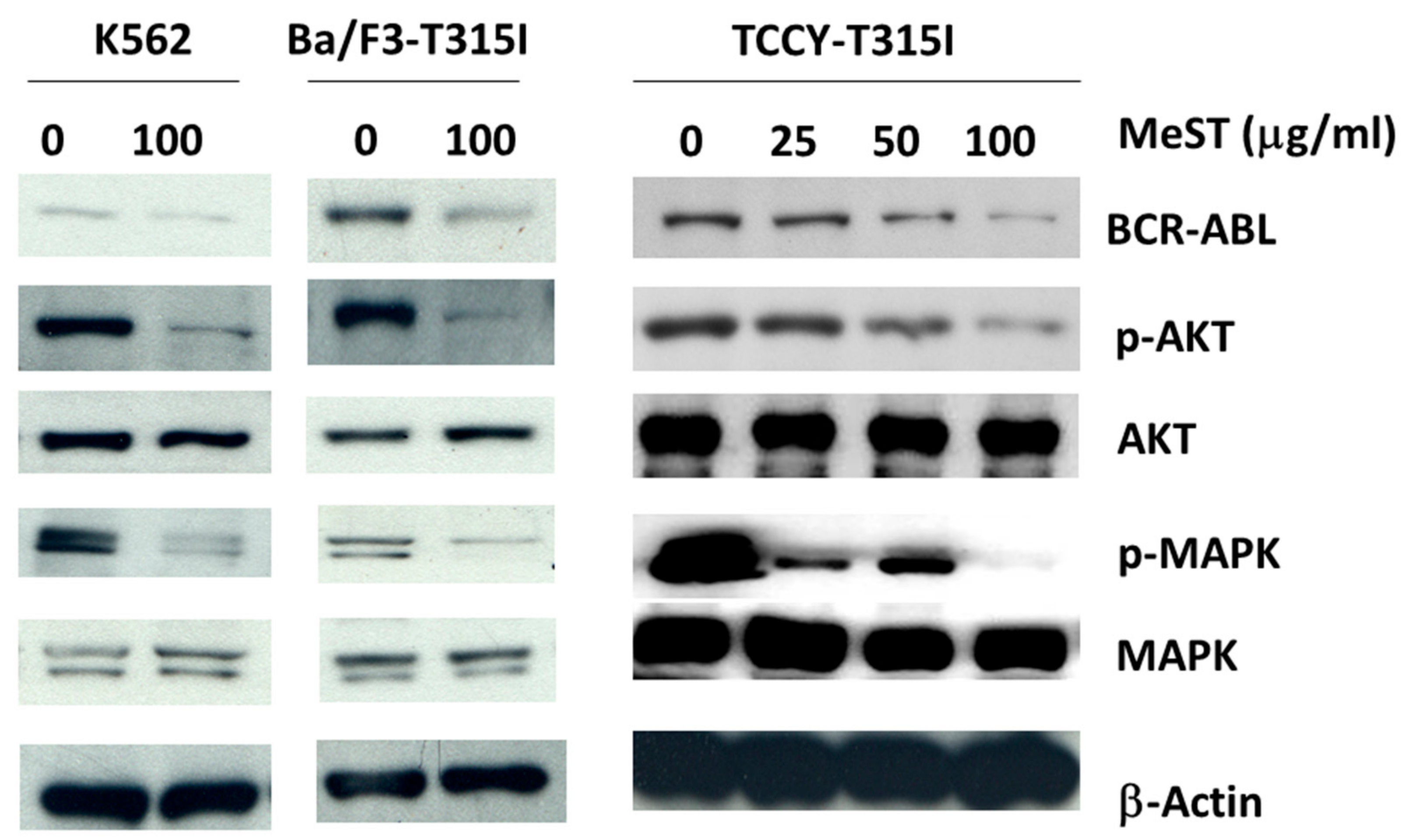 Plants 10 00980 g007