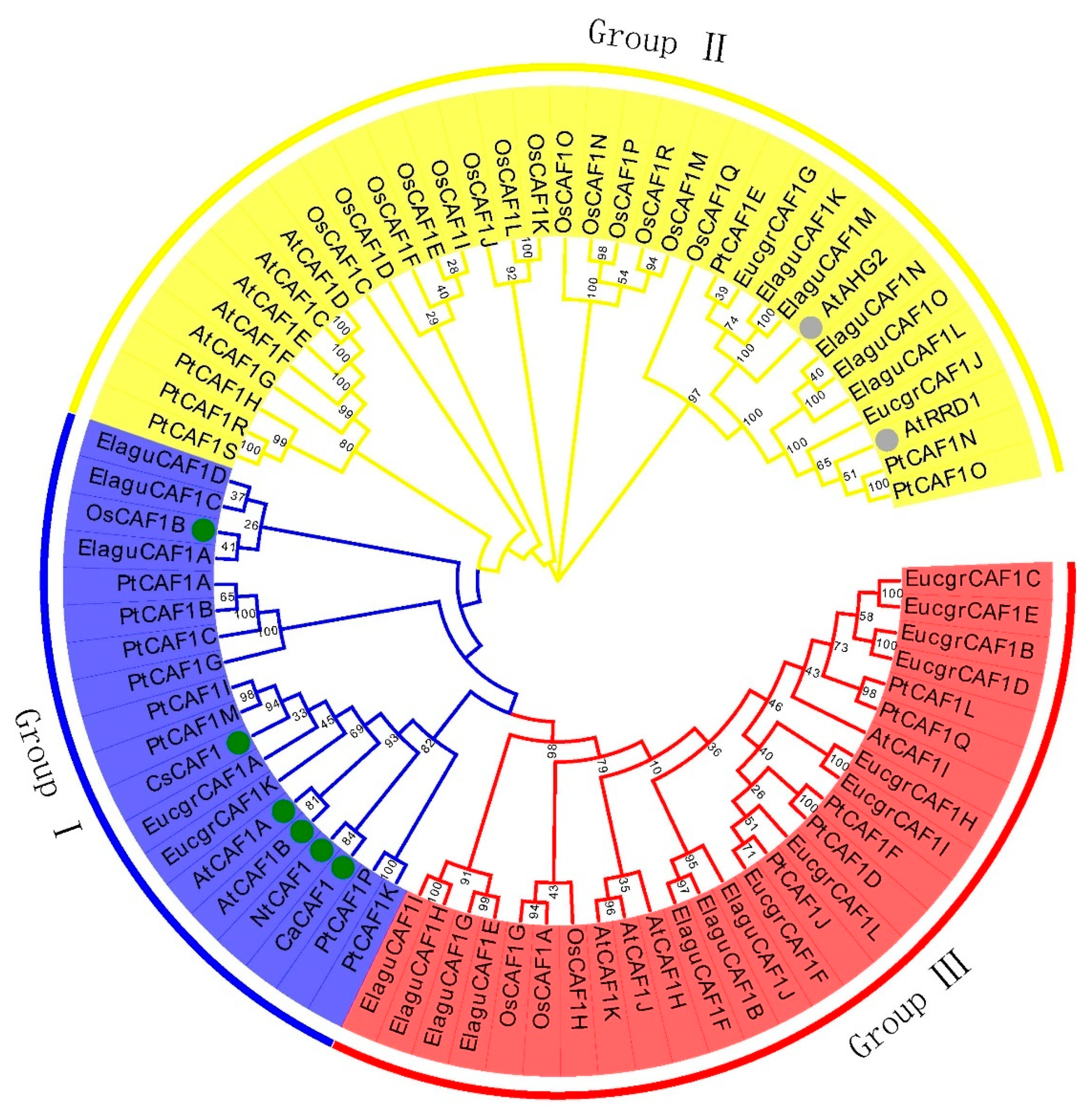 Plants 10 00981 g001 Plants 10 00981 g001