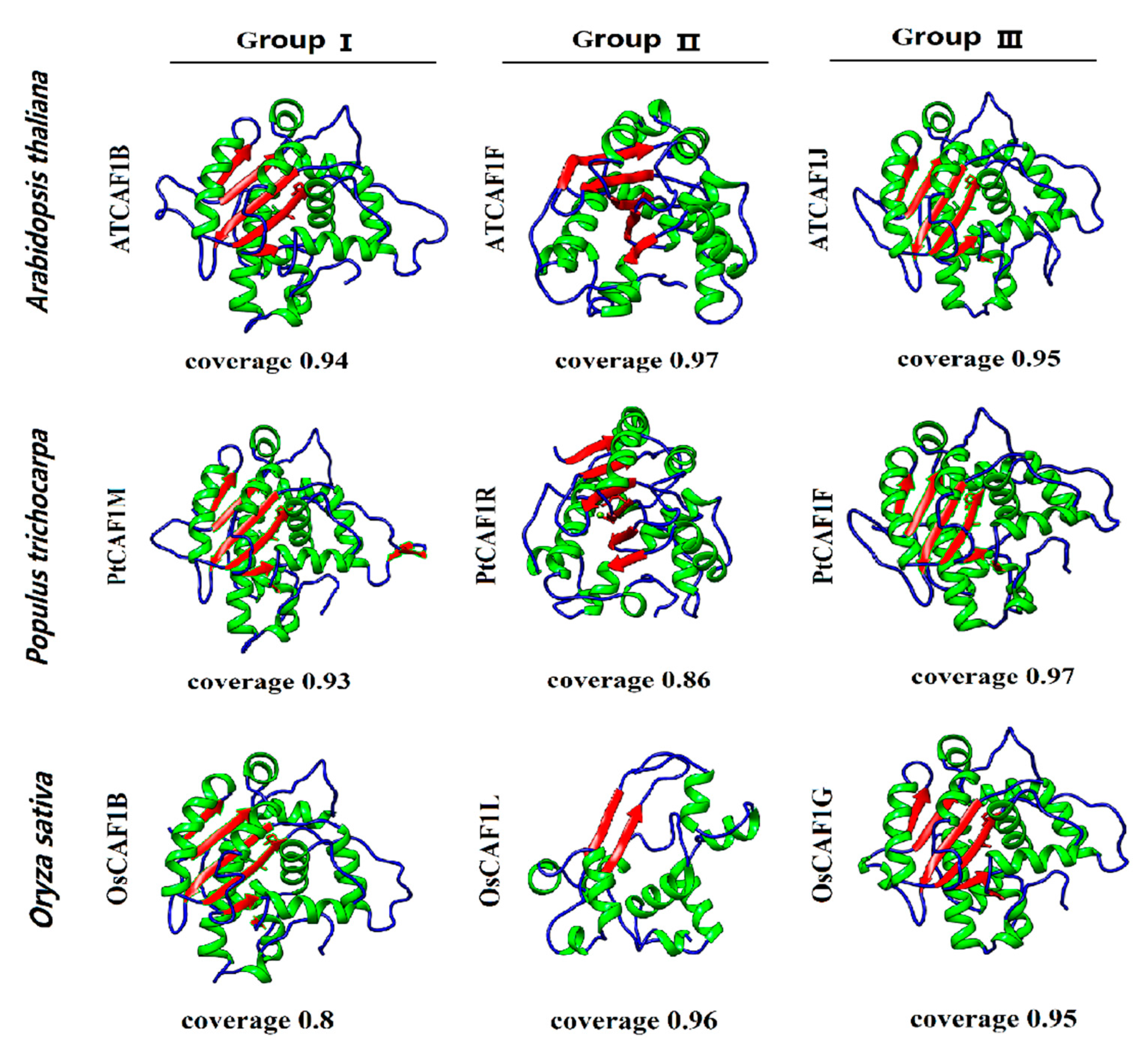 Plants 10 00981 g003 Plants 10 00981 g003