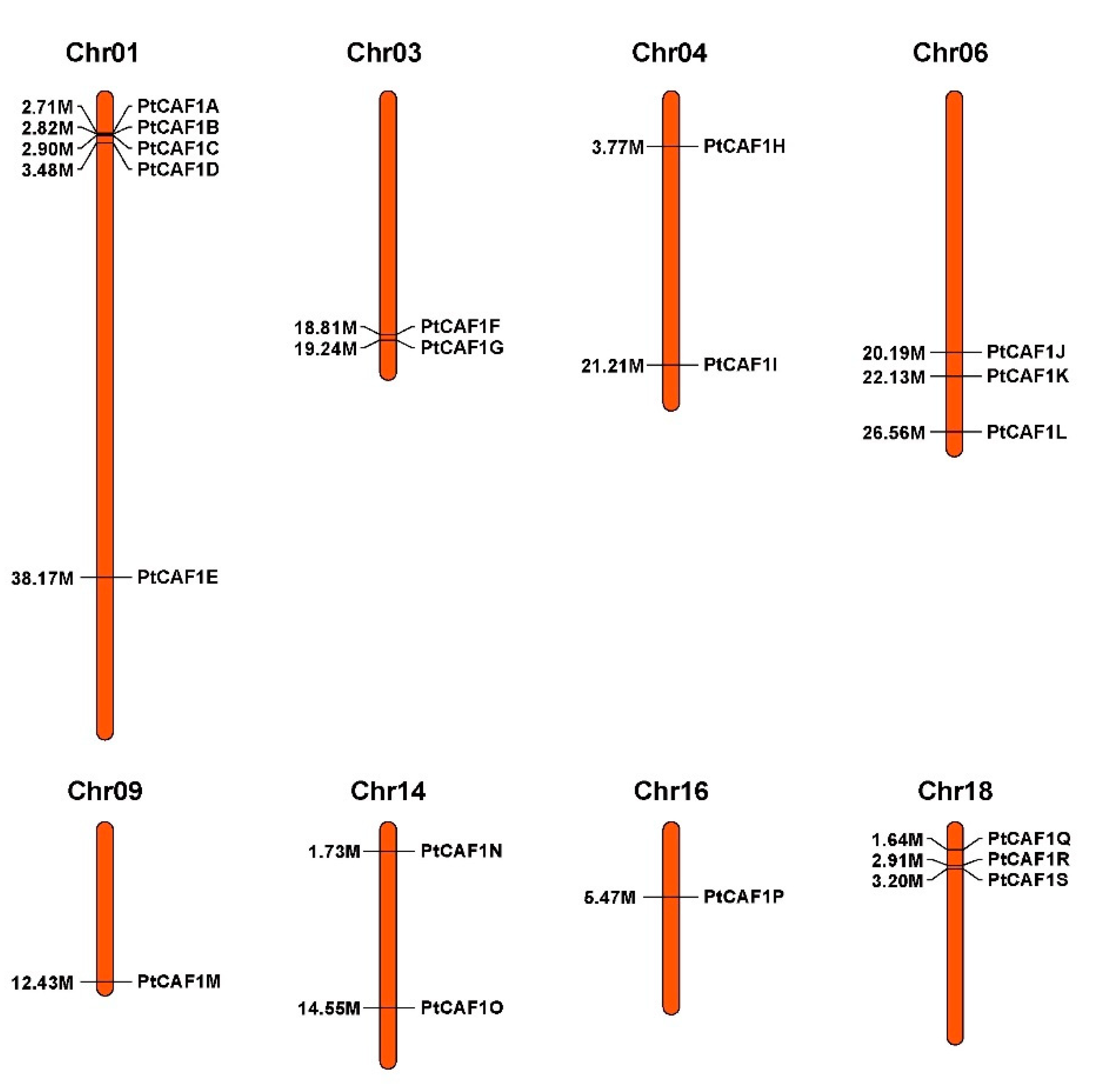 Plants 10 00981 g004 Plants 10 00981 g004