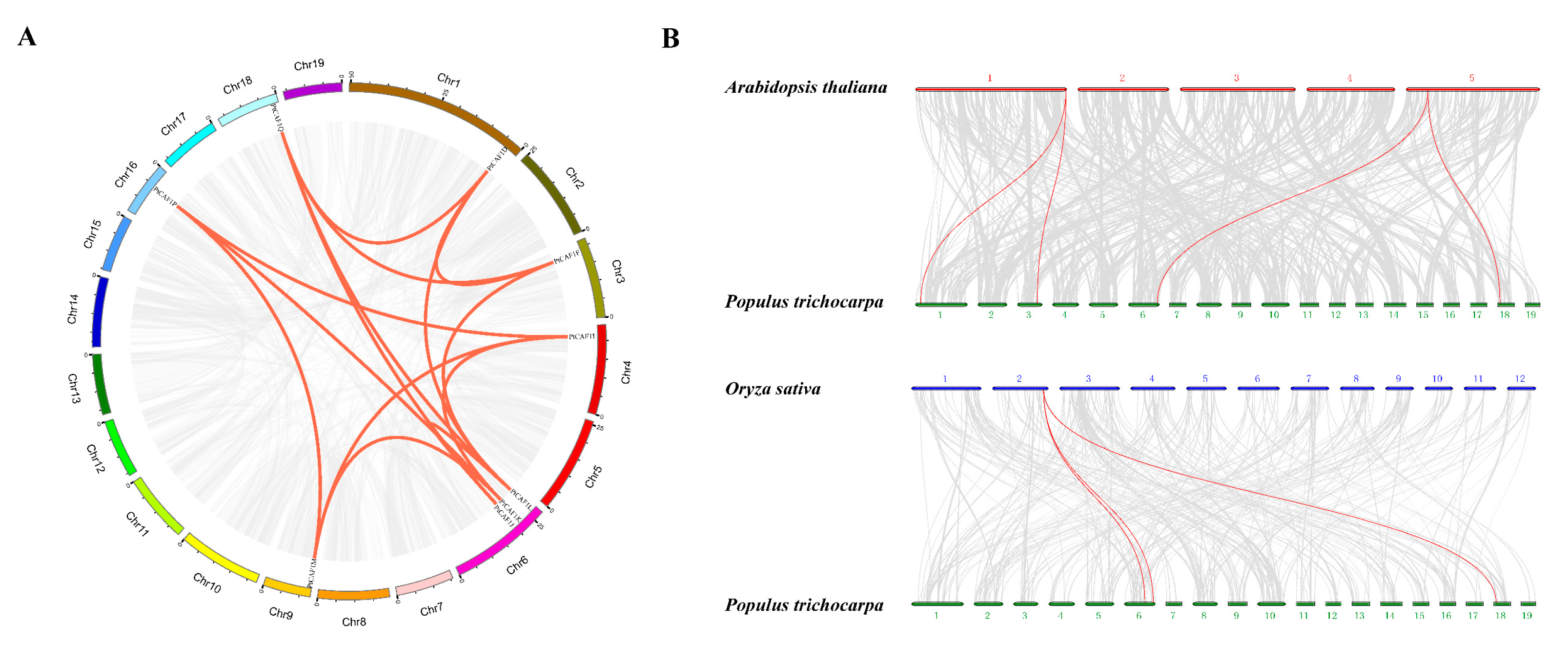 Plants 10 00981 g005 Plants 10 00981 g005
