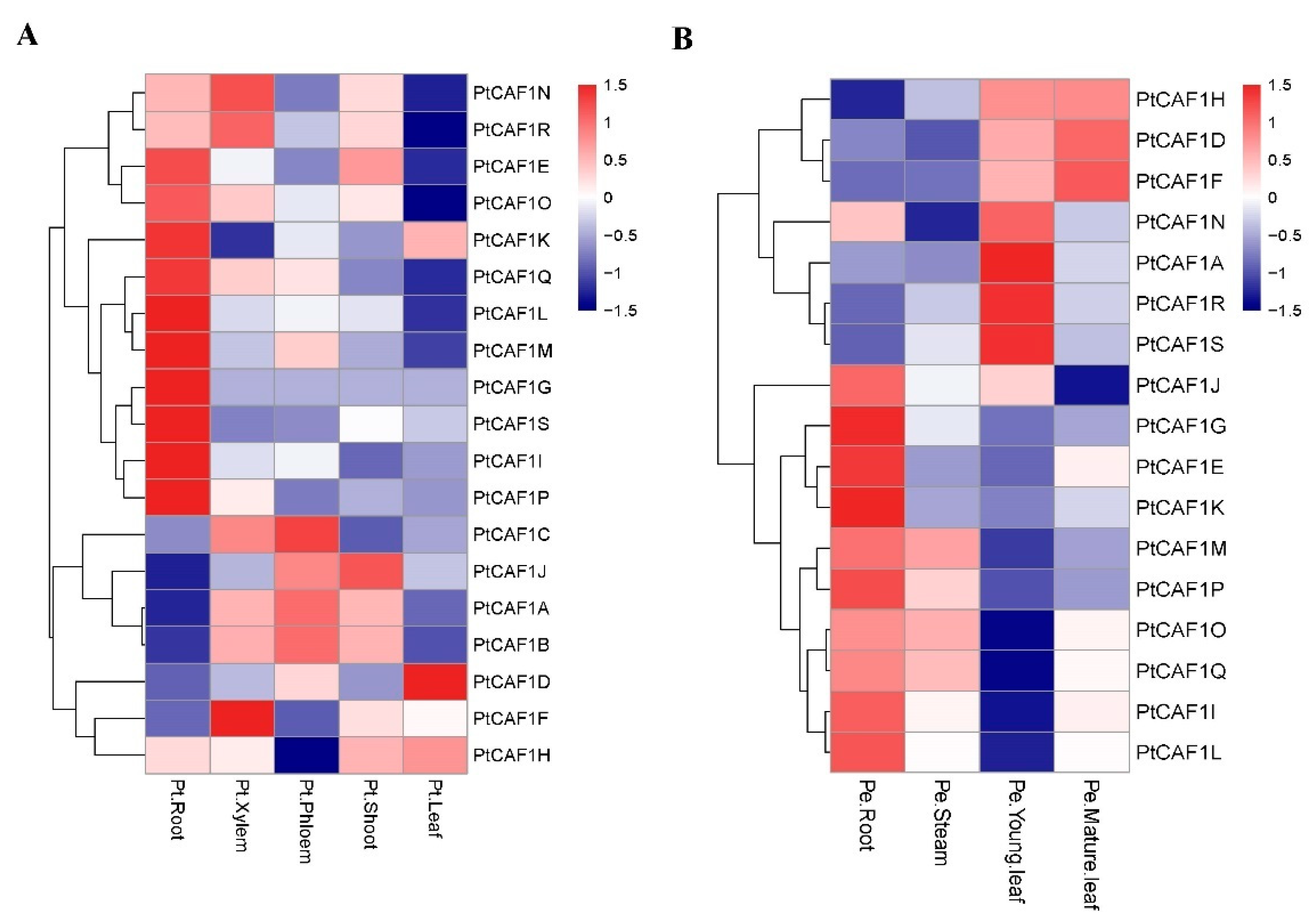 Plants 10 00981 g006 Plants 10 00981 g006