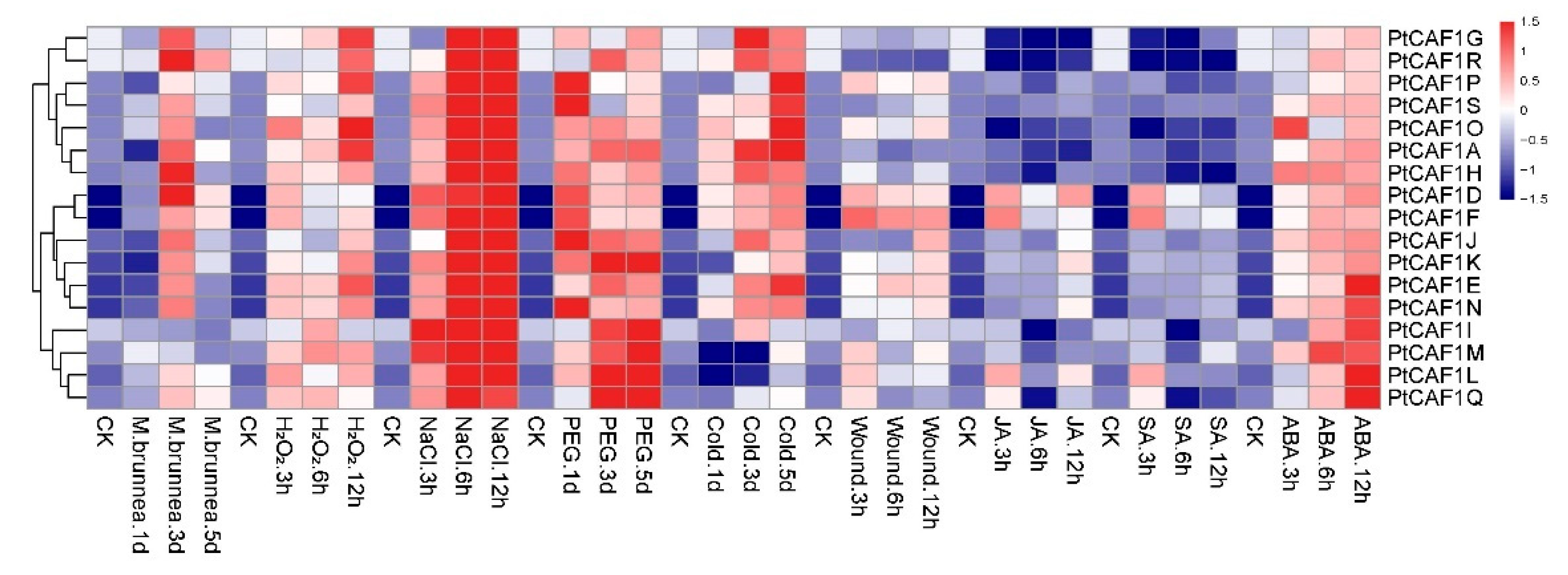Plants 10 00981 g007 Plants 10 00981 g007