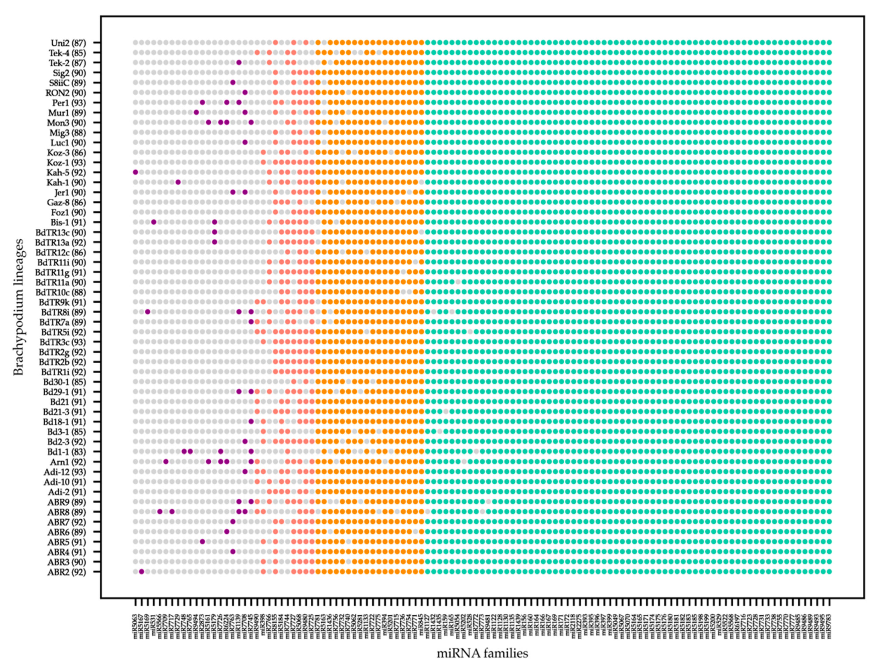 Plants 10 00991 g001