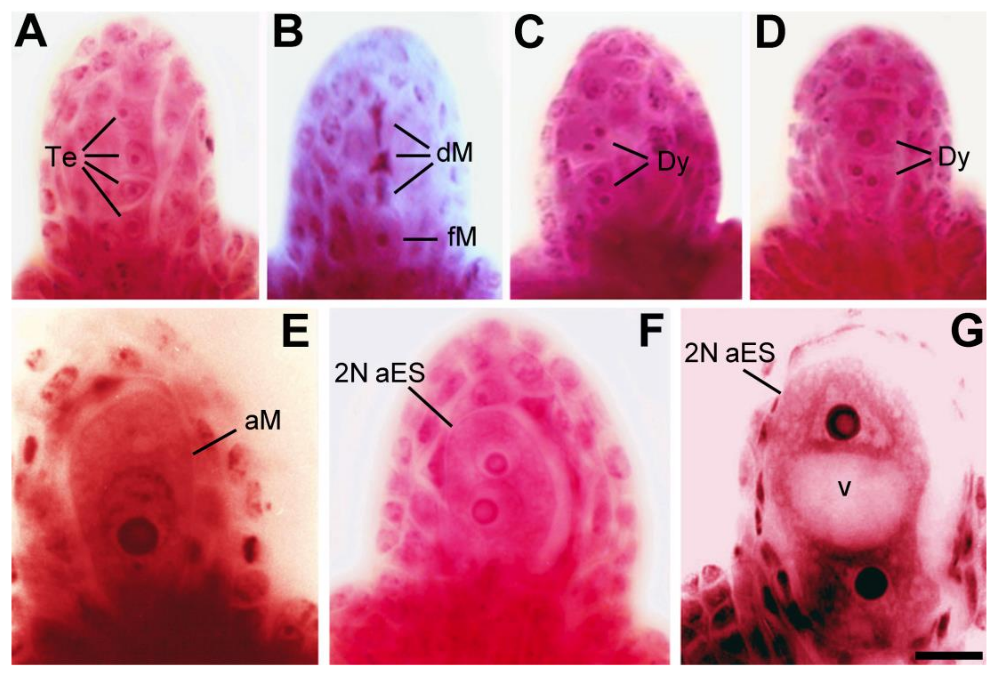 Plants 10 00999 g002 Plants 10 00999 g002