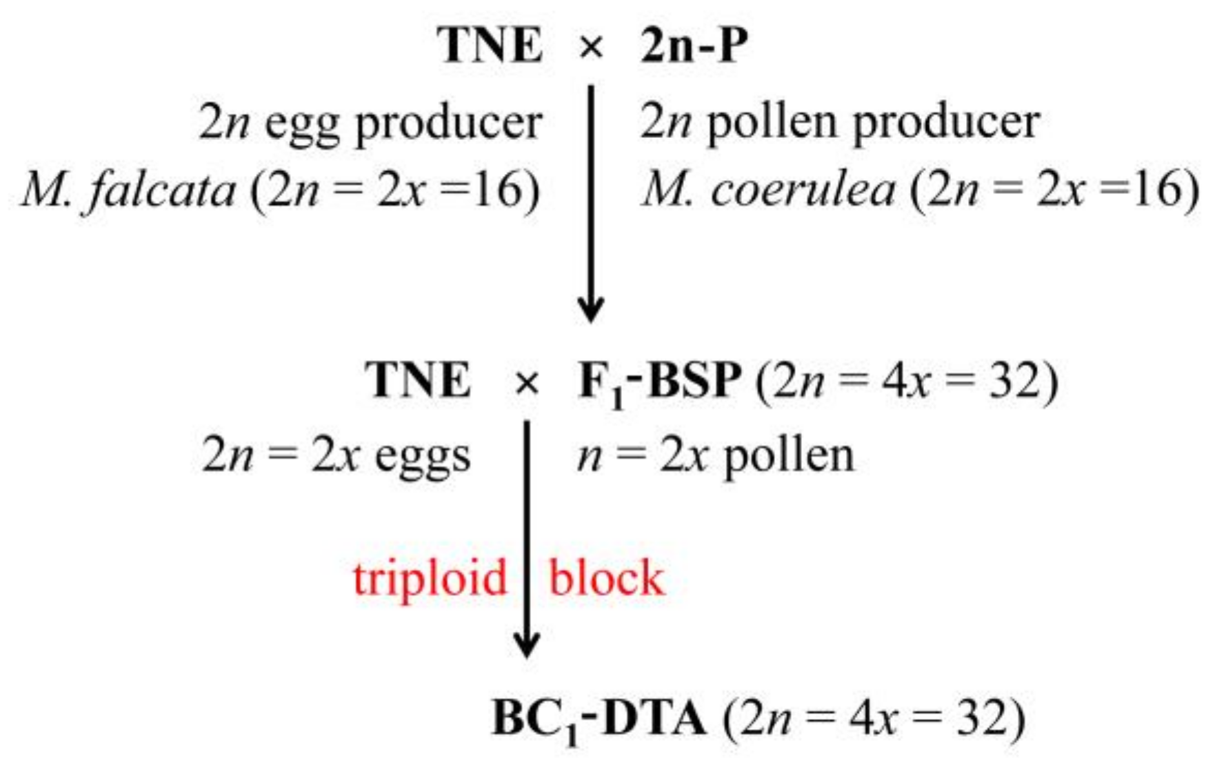 Plants 10 00999 g0a1 Plants 10 00999 g0a1