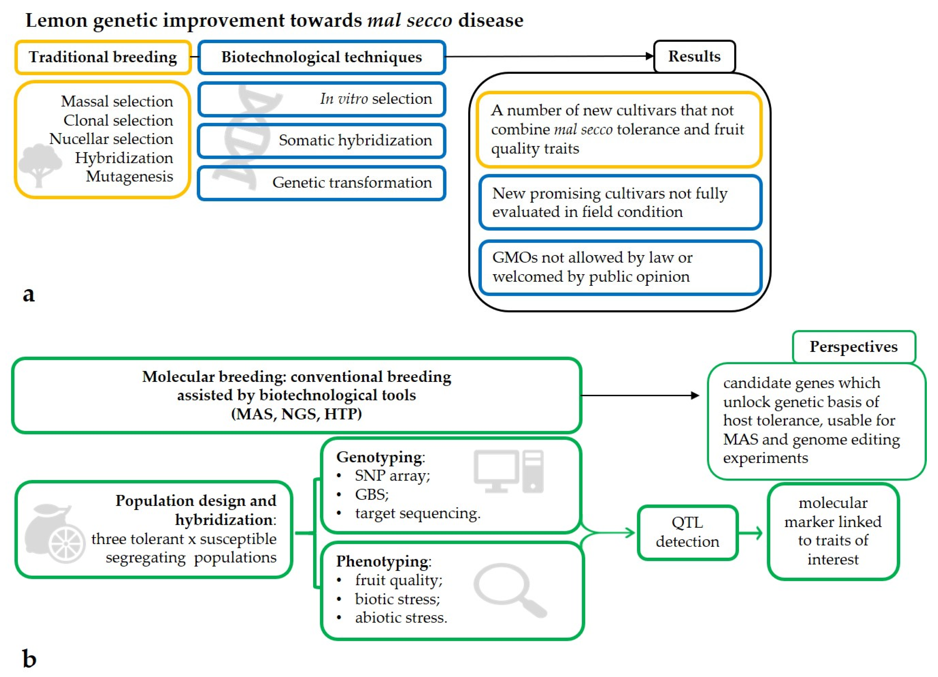Plants 10 01002 g001 Plants 10 01002 g001