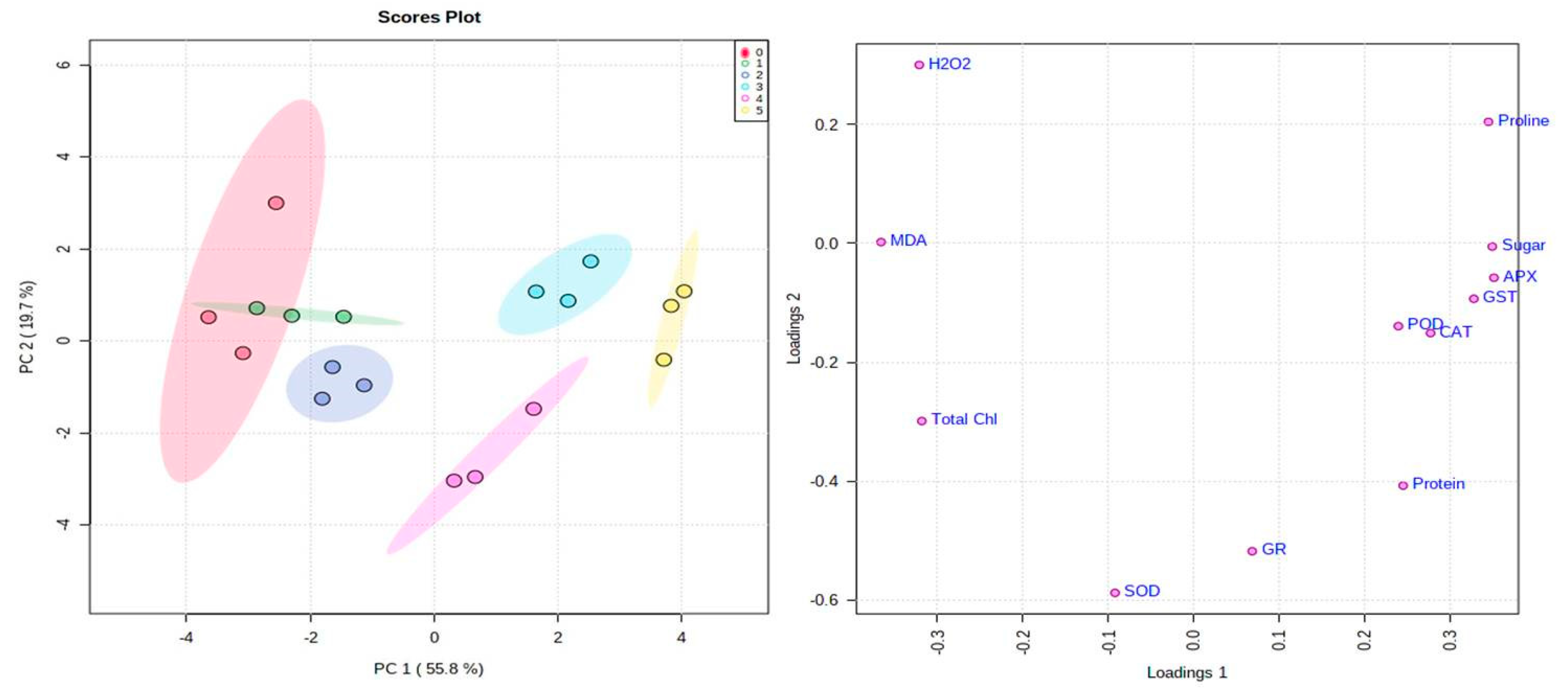 Plants 10 01005 g006 Plants 10 01005 g006