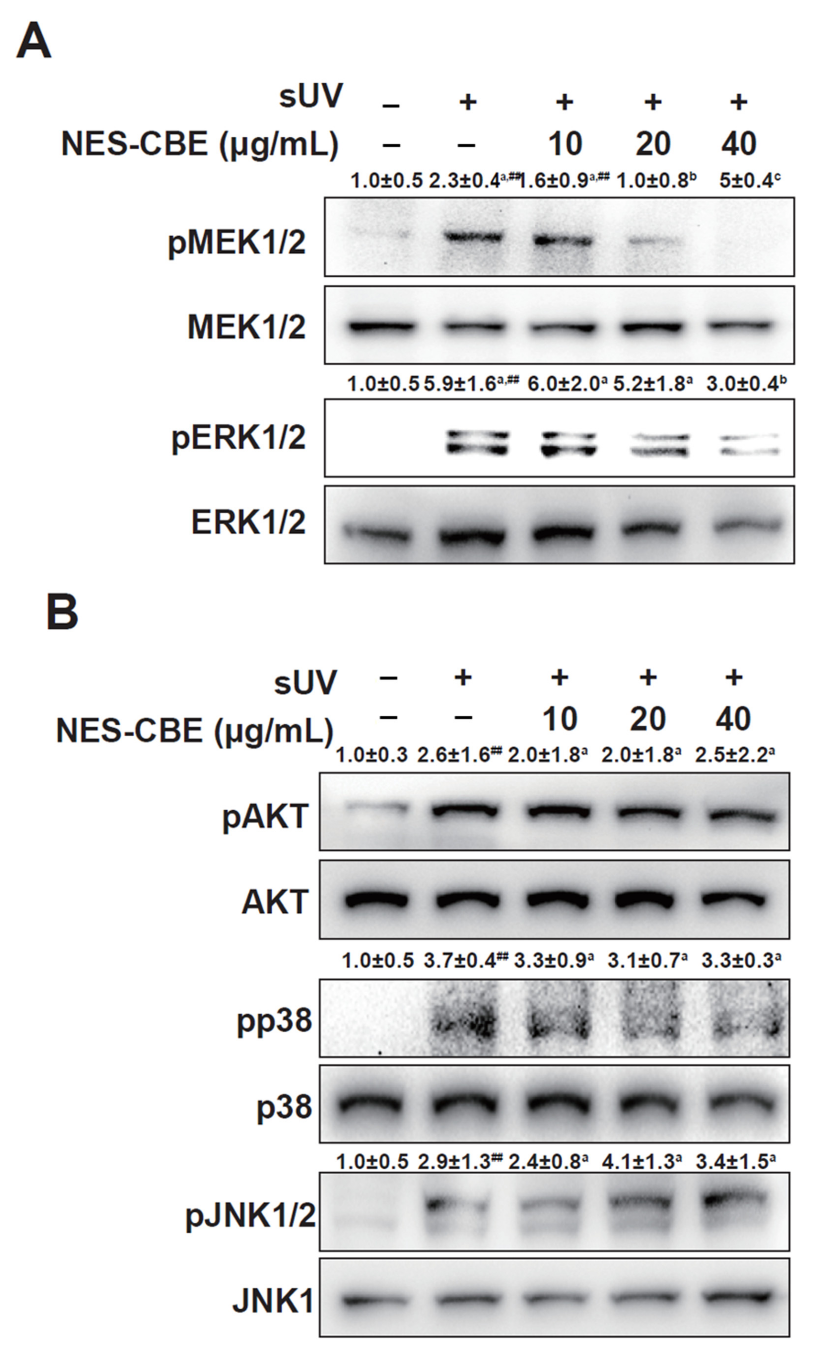Plants 10 01016 g004 Plants 10 01016 g004