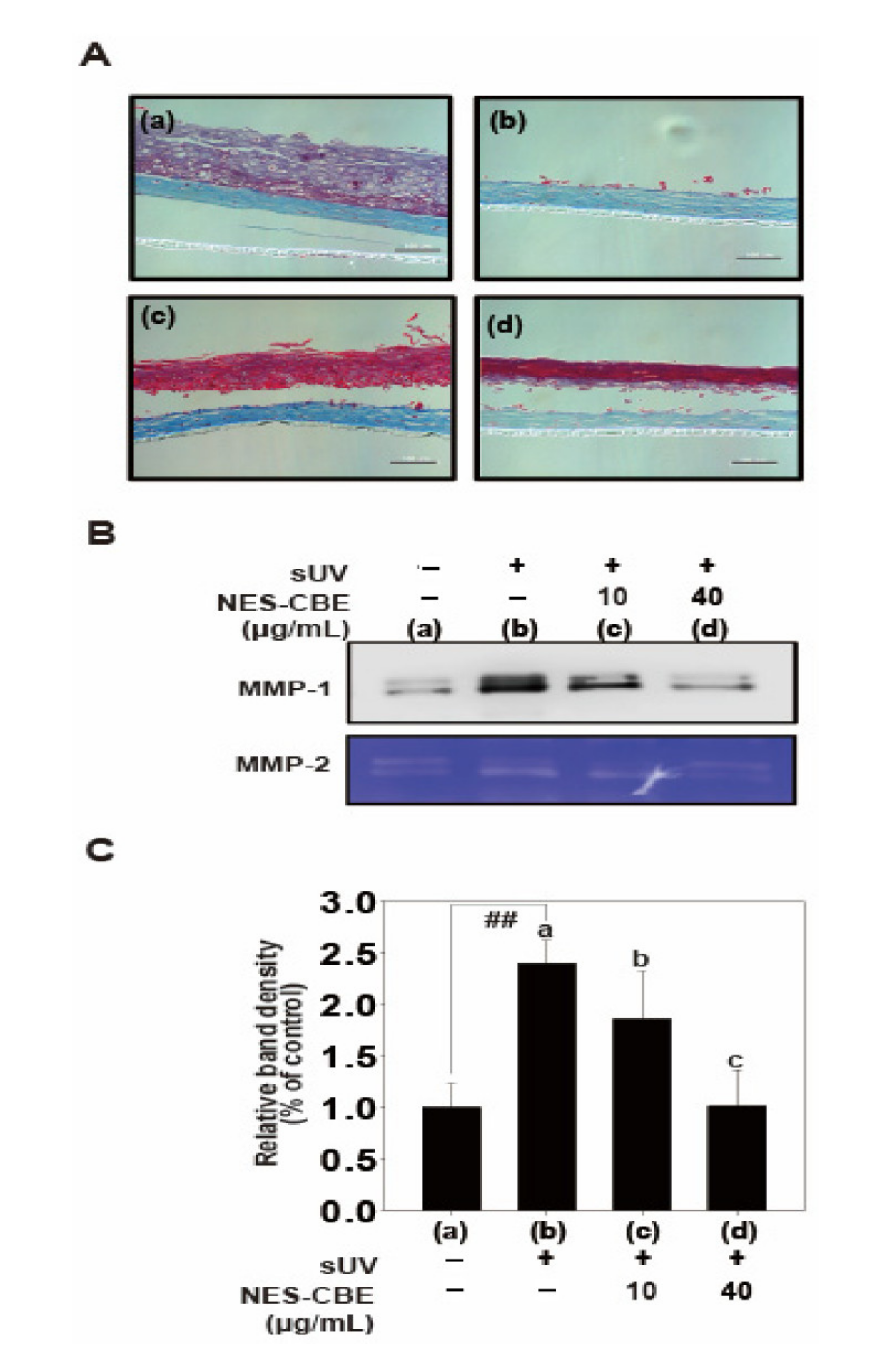 Plants 10 01016 g005 Plants 10 01016 g005