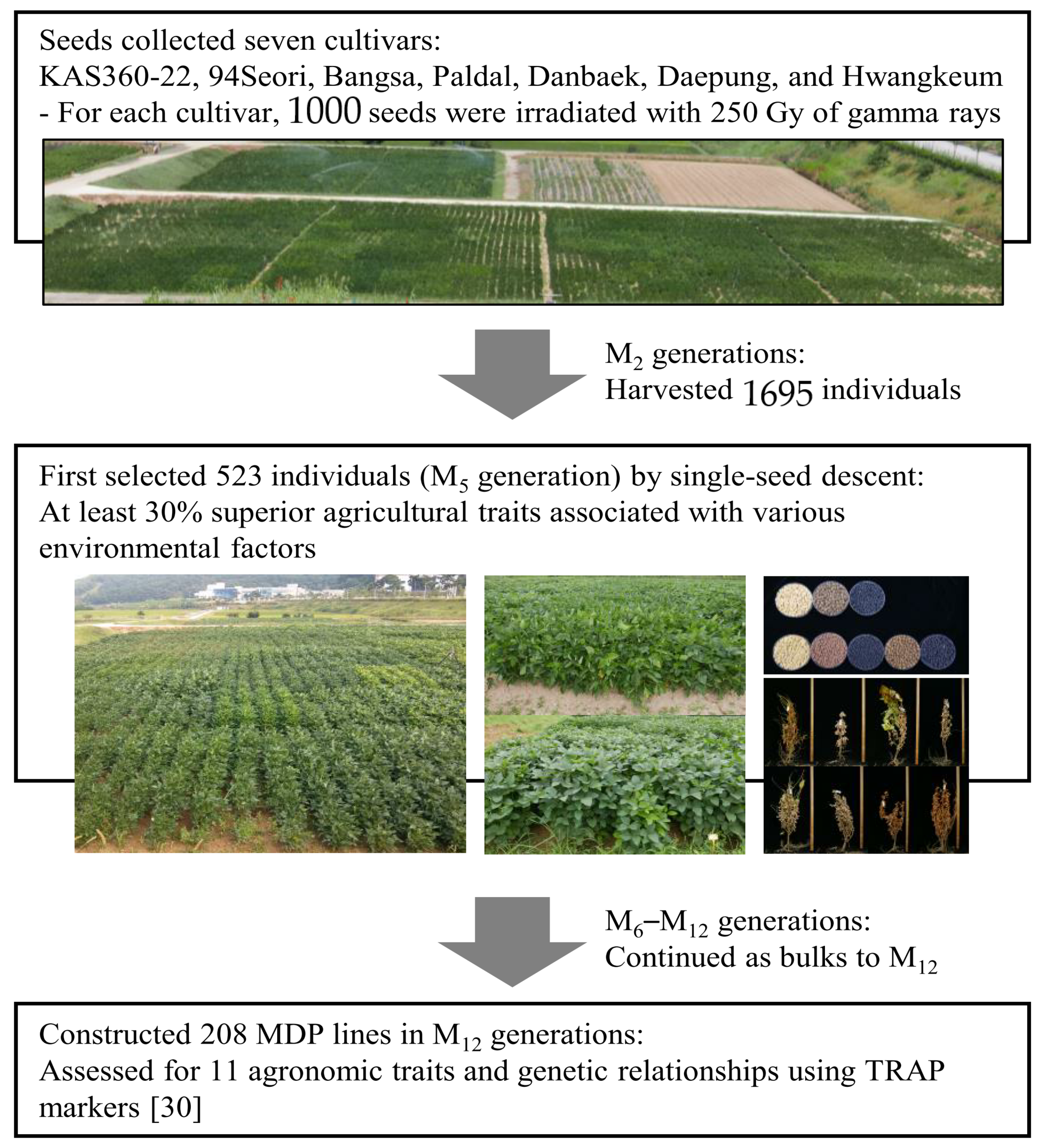 Plants 10 01037 g006