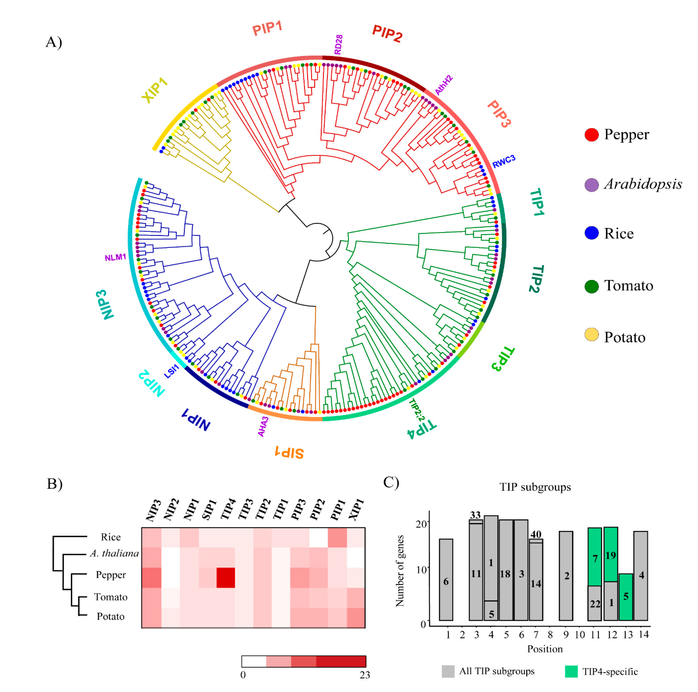 Plants 10 01039 g002 Plants 10 01039 g002