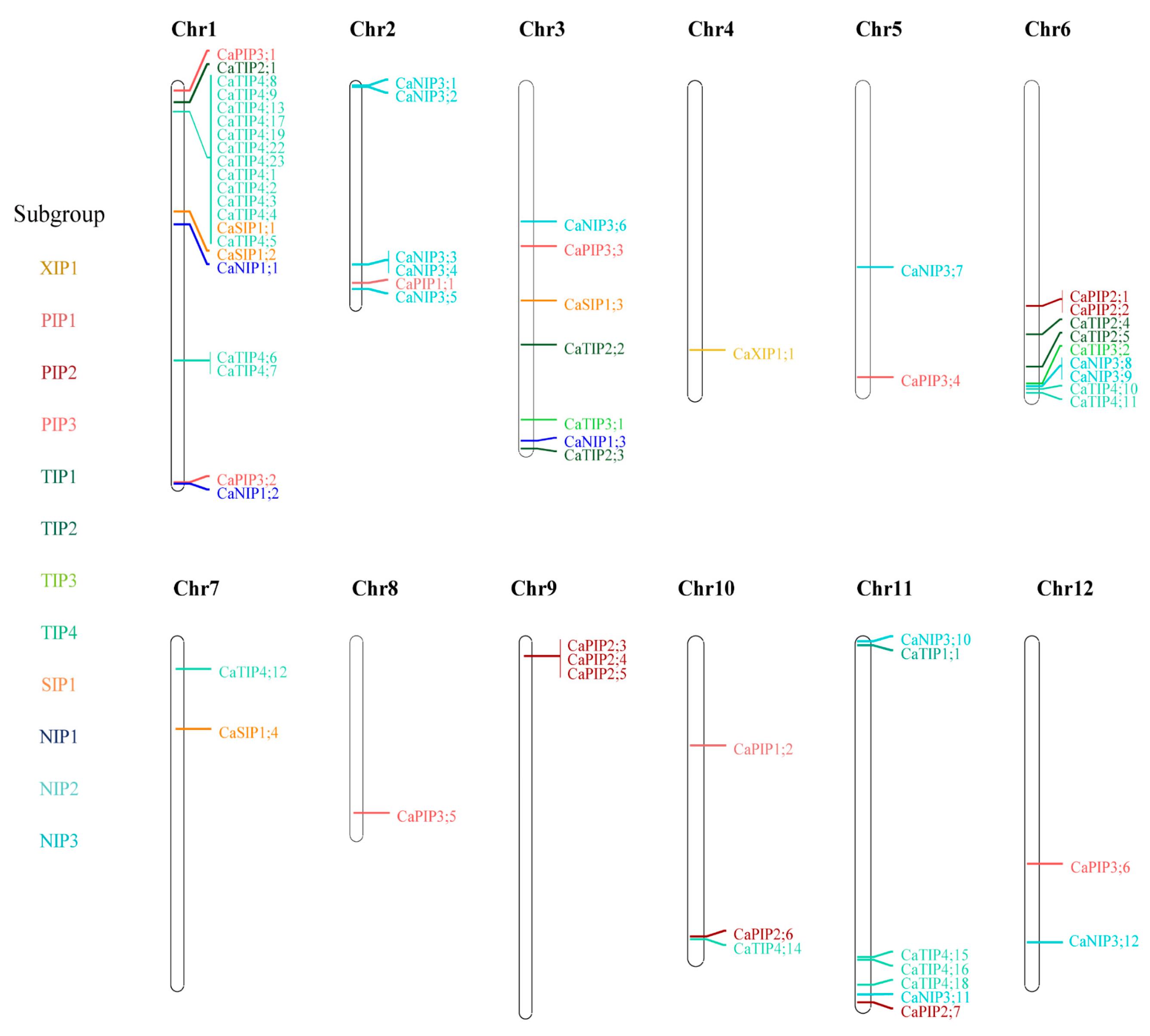 Plants 10 01039 g003 Plants 10 01039 g003