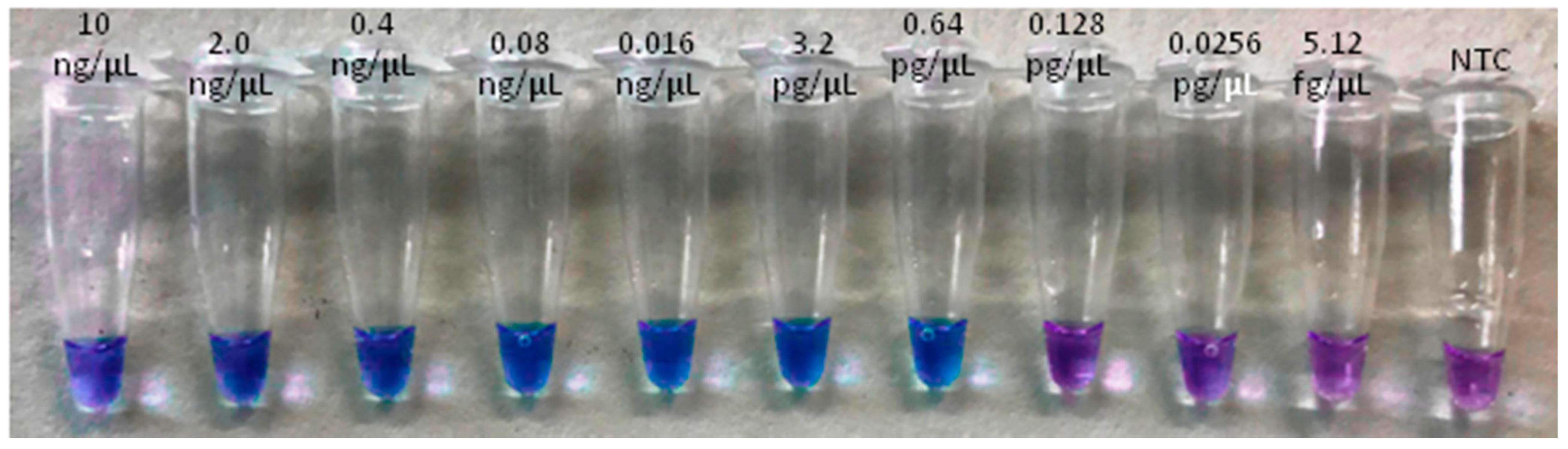 Plants 10 01048 g003 Plants 10 01048 g003