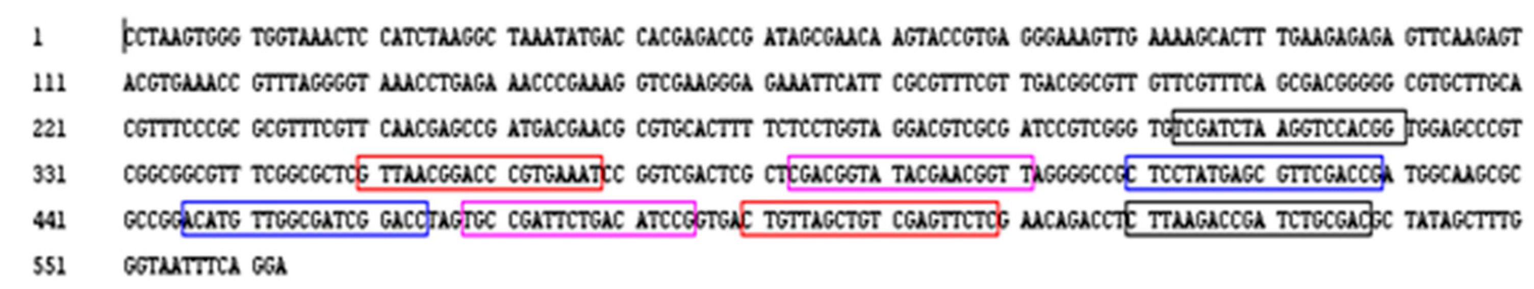 Plants 10 01048 g007 Plants 10 01048 g007