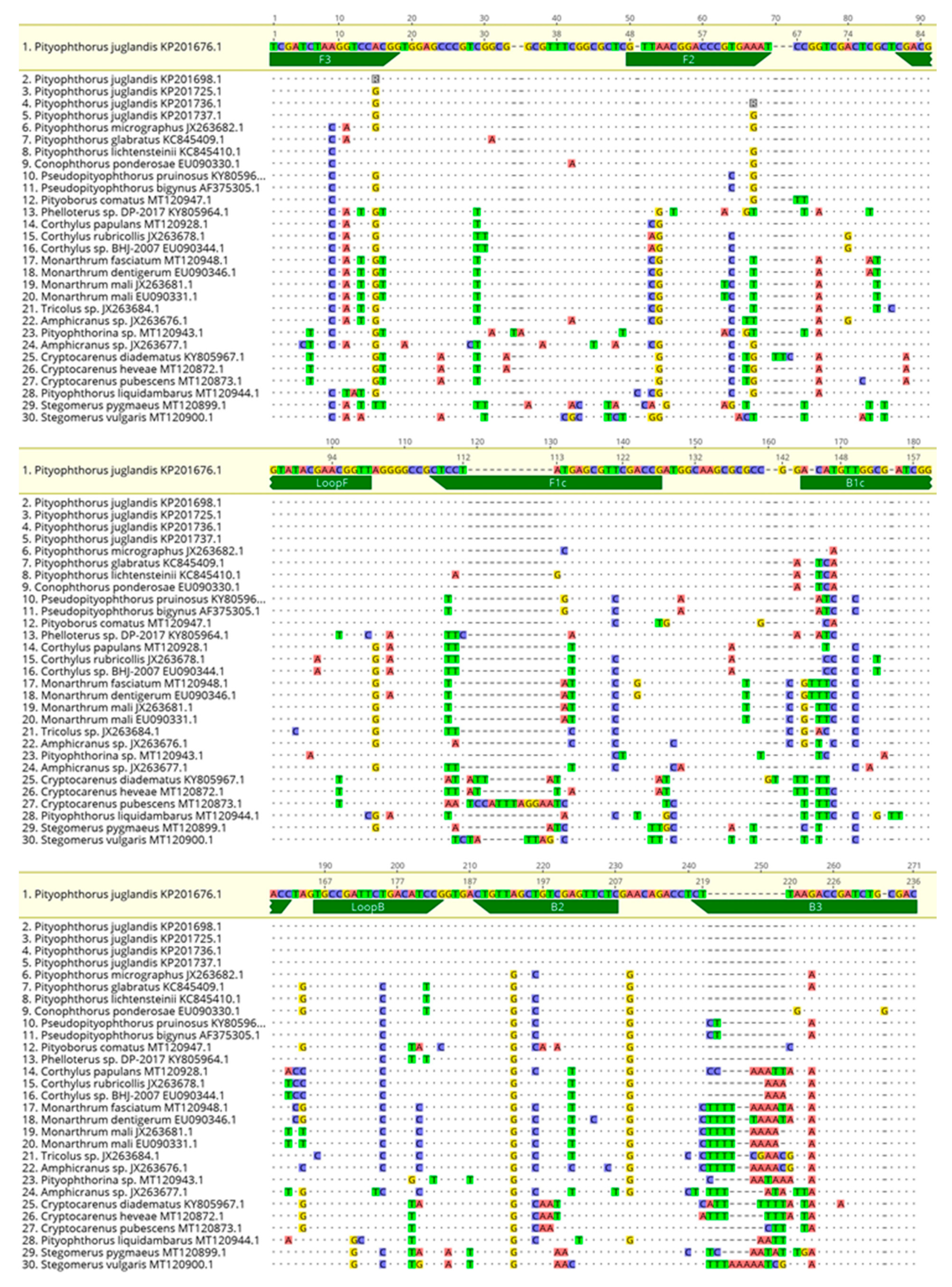 Plants 10 01048 g008 Plants 10 01048 g008