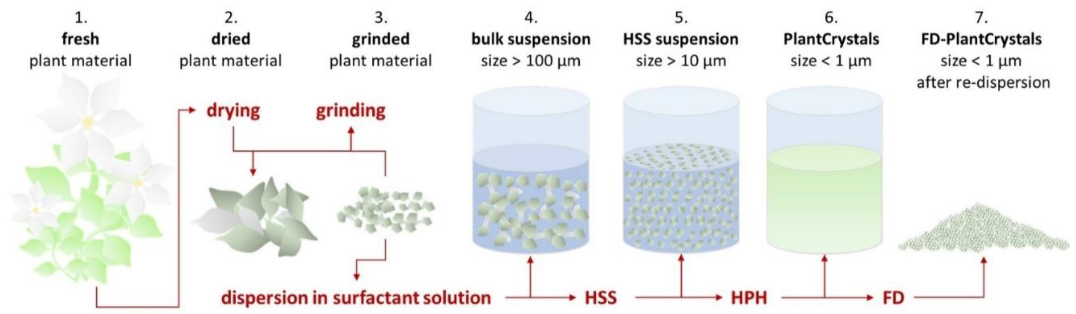 Plants 10 01051 g001