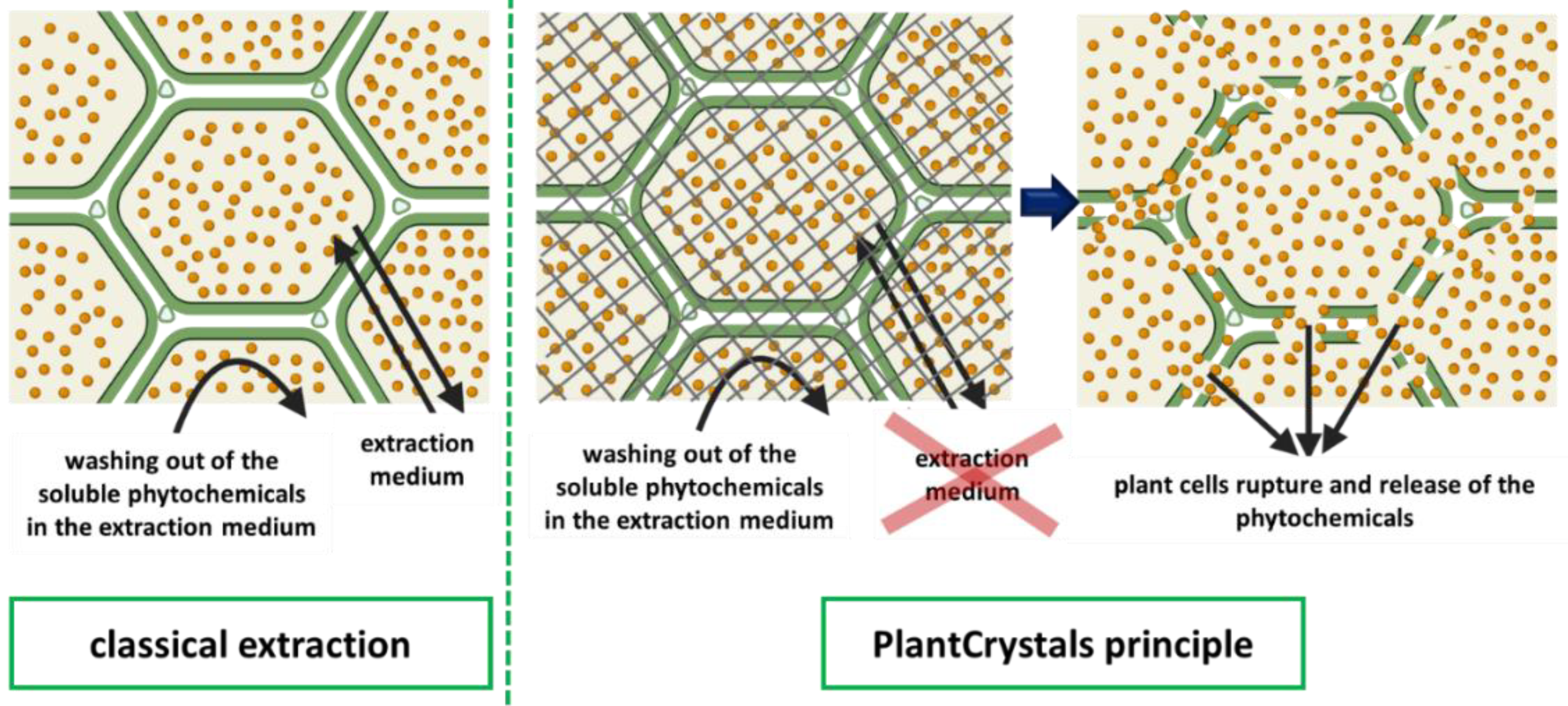 Plants 10 01051 g002
